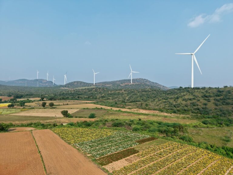 Sustainability: Which Approach Keeps You Consistent Longer? - Featured image