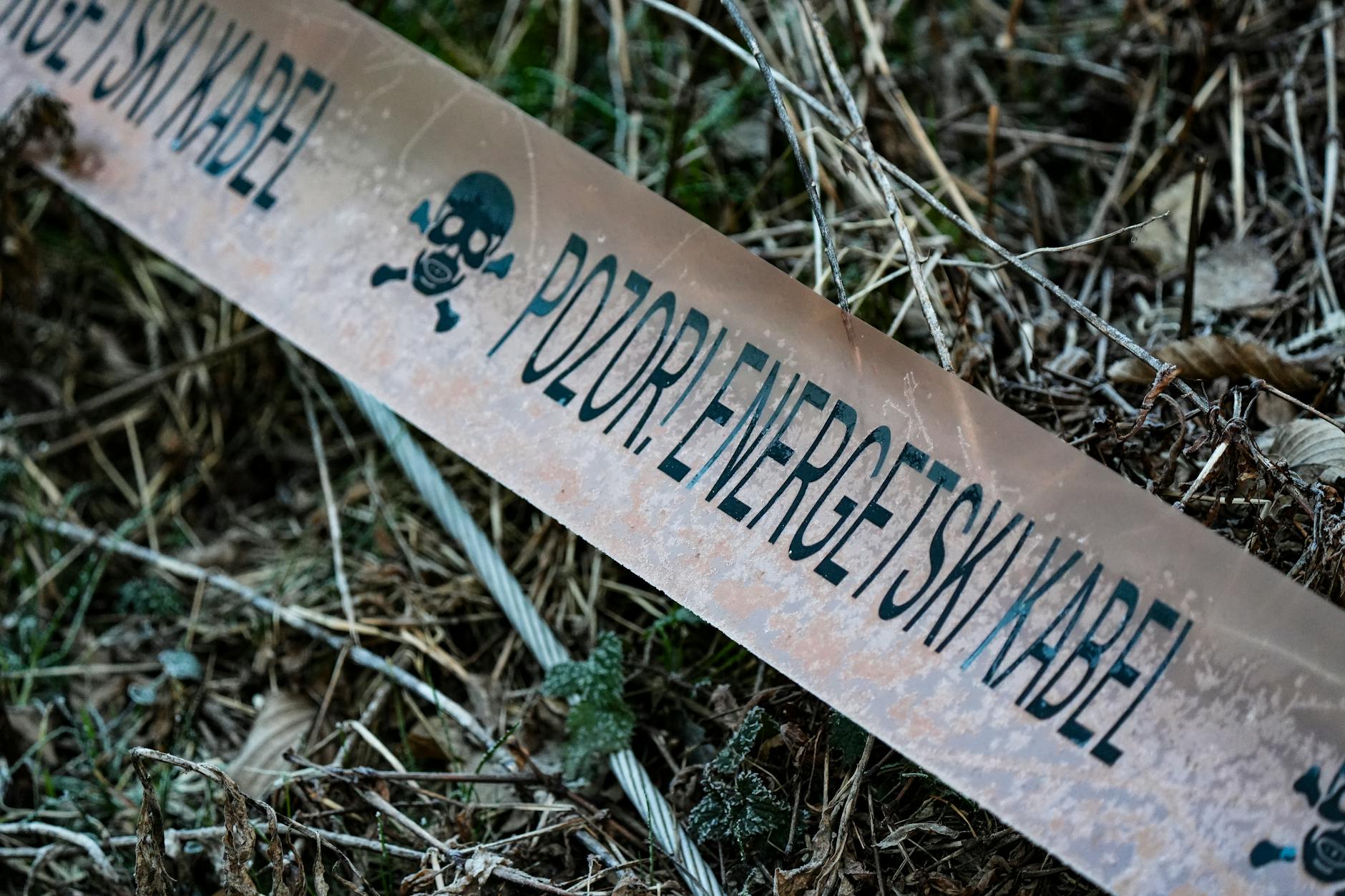 Warning Signs and Advanced Prevention for Vulnerable Areas