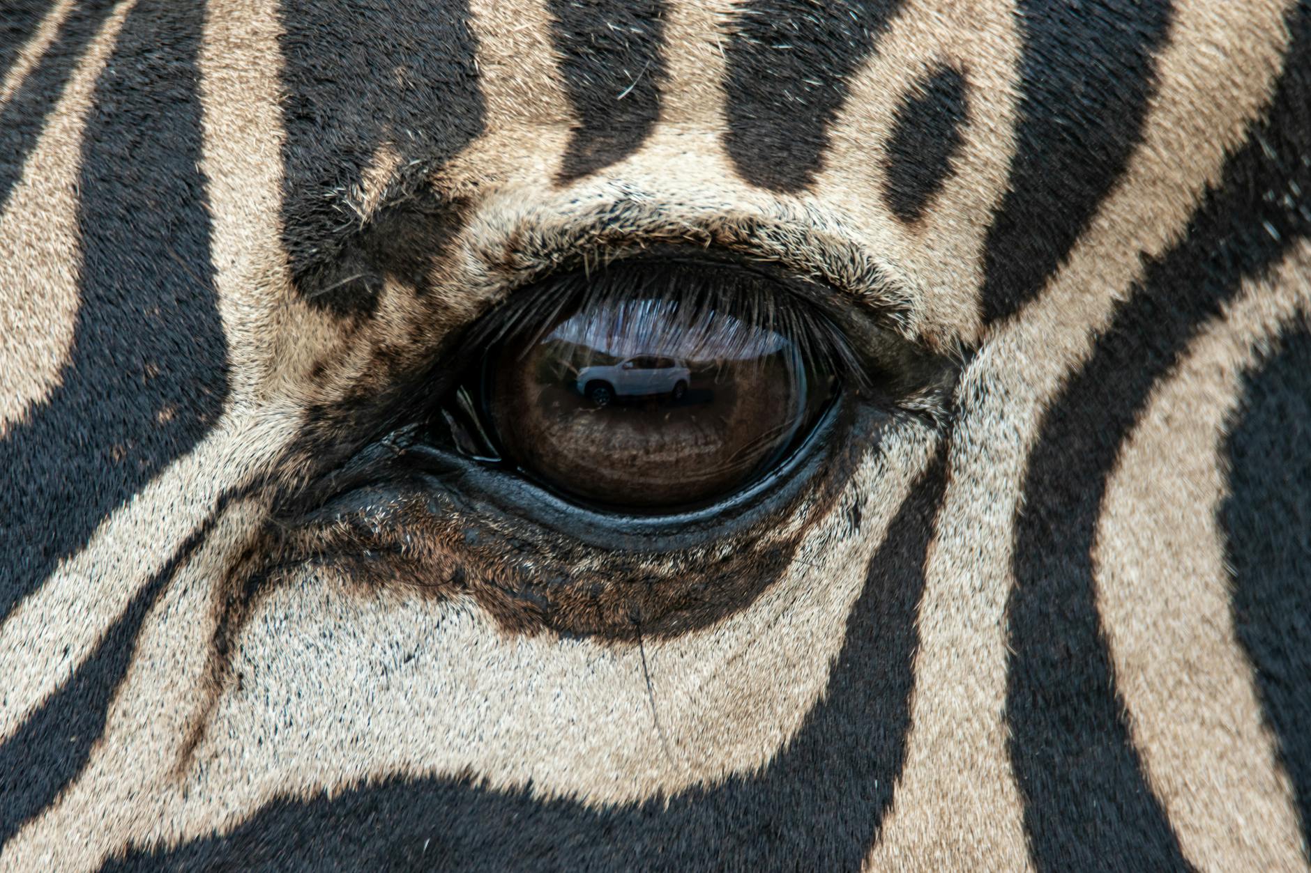 What Are Intensity Minutes and How Do They Differ From Calories Burned?