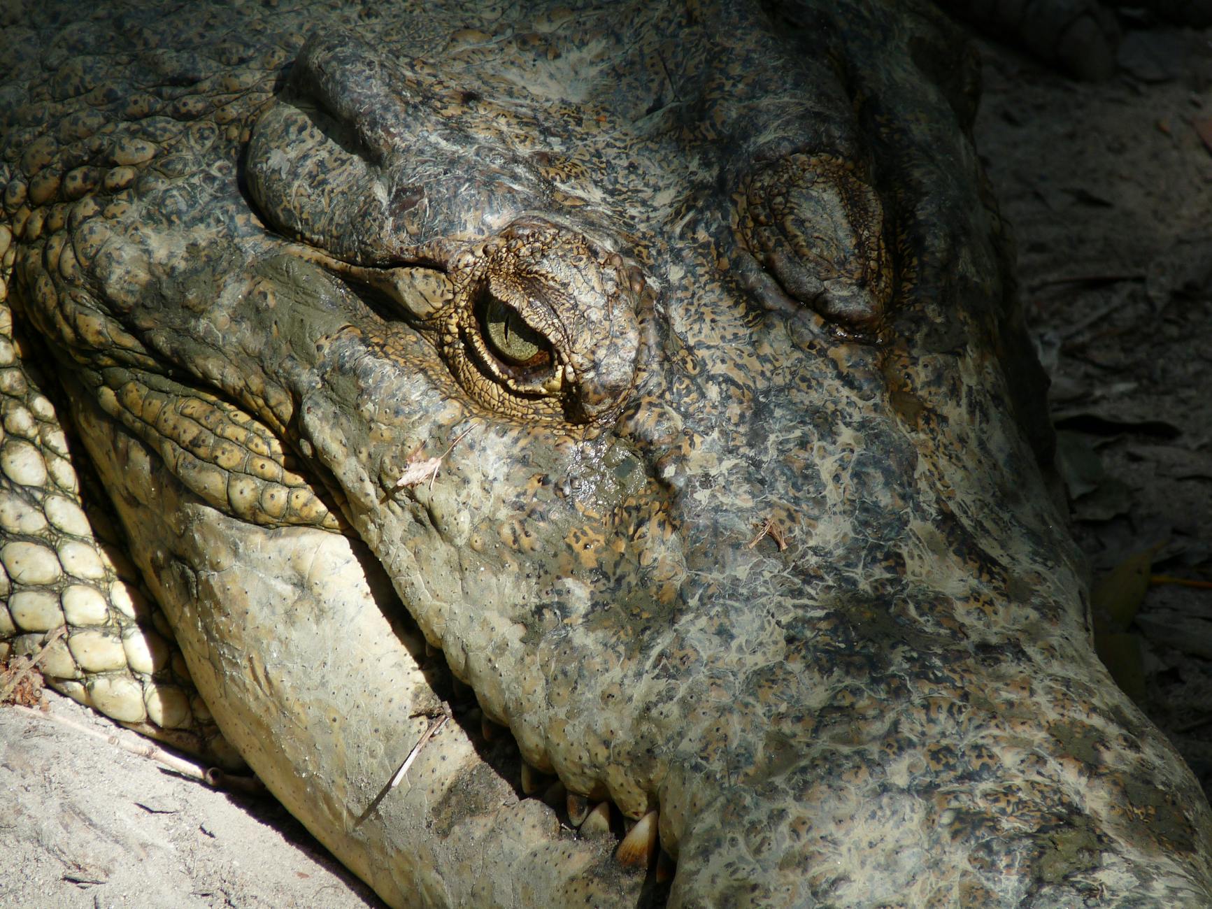 What Are the Right Run-Walk Intervals for Your Fitness Level?