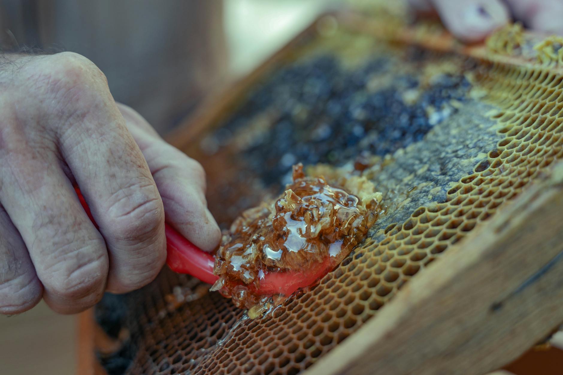 What Exactly Is the 30-30-30 Method and How Does It Work?