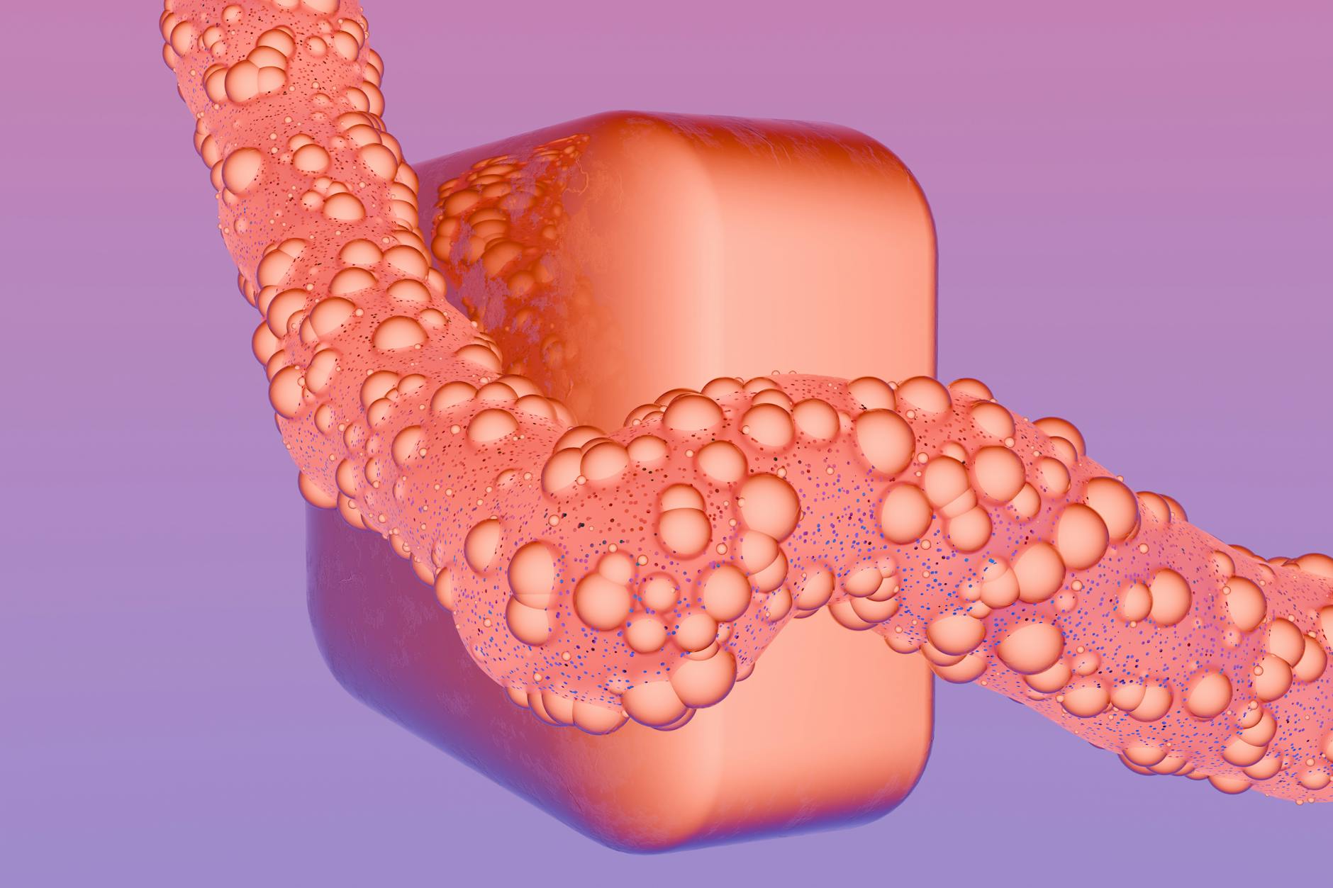 What Happens to Your Lungs and Legs in the First Two Weeks