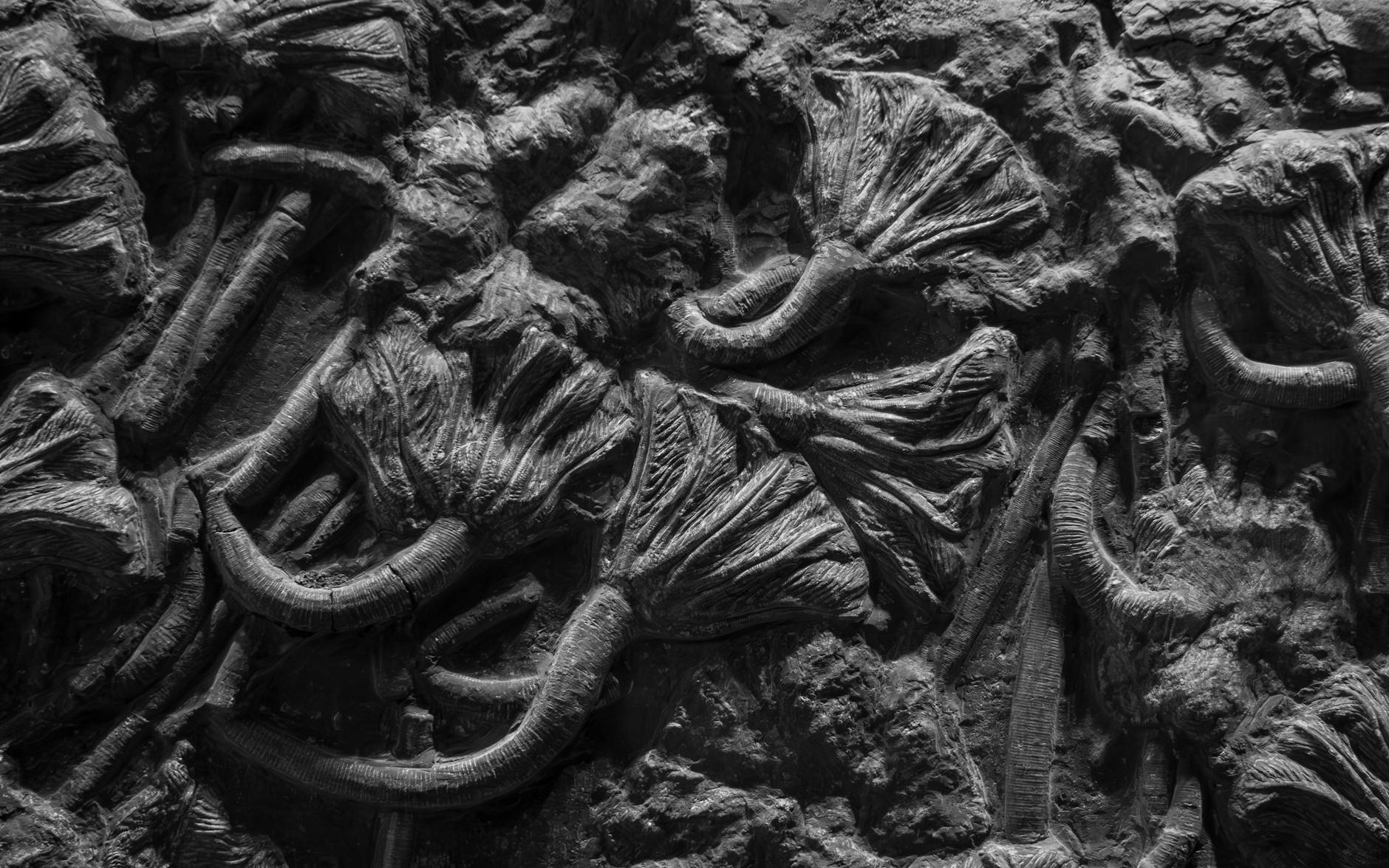 What Is the History and Science Behind the Galloway Method?