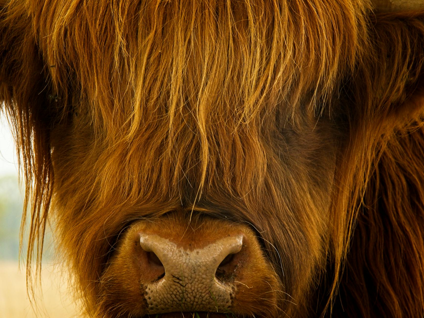 Why is One Long Workout Different from Spreading Out Your Exercise?