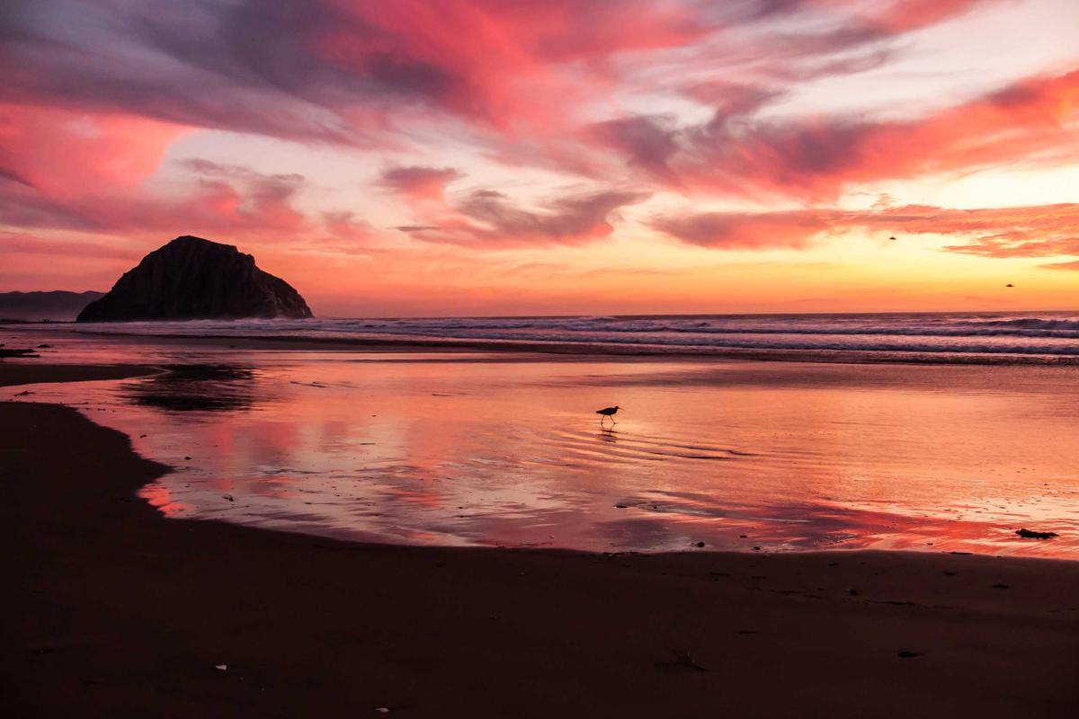 Why Vigorous Intensity Minutes Carry Extra Weight Beyond the 2-for-1 Rule