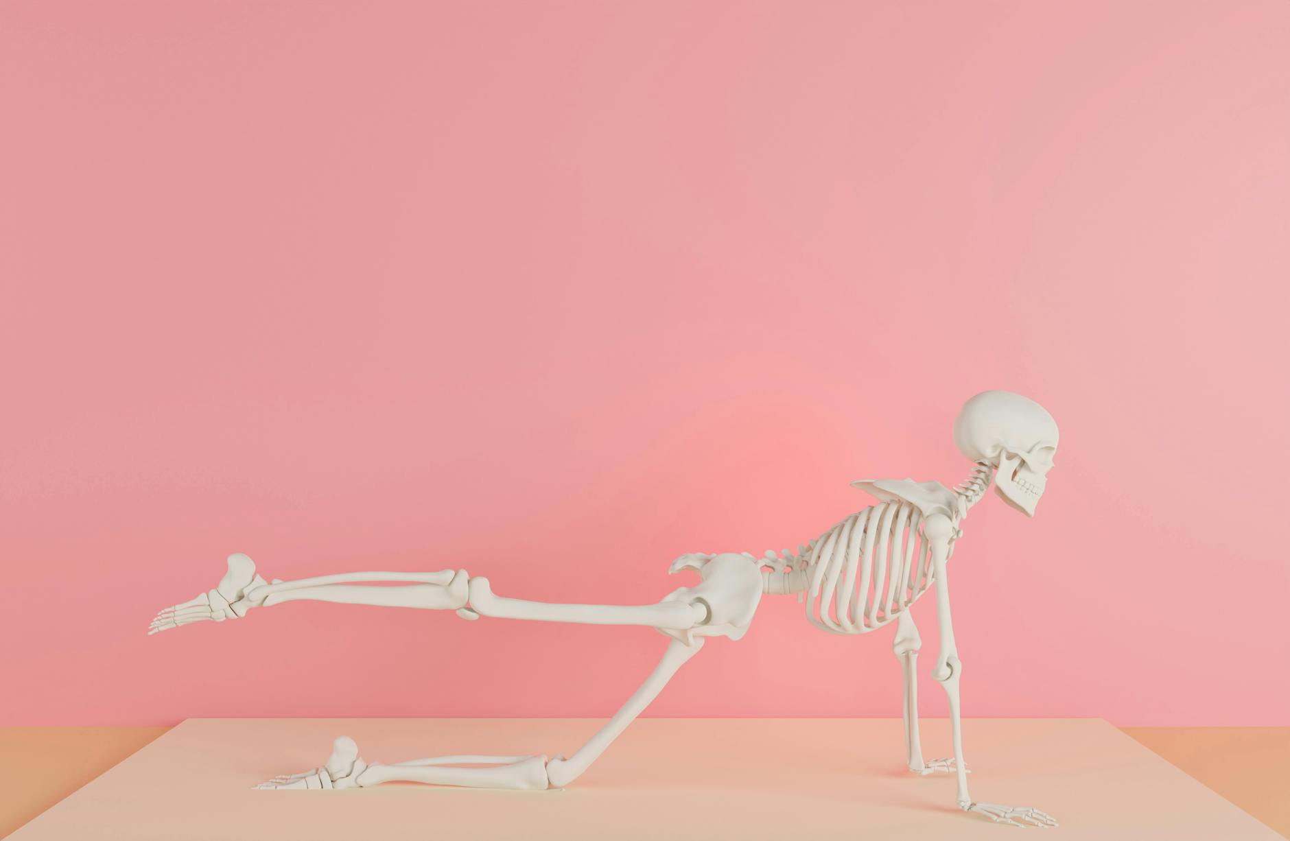 Cardiovascular and Bone Health Require Progressive Demands