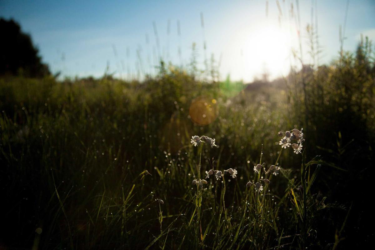Does Light Activity Give You Real Health Benefits?