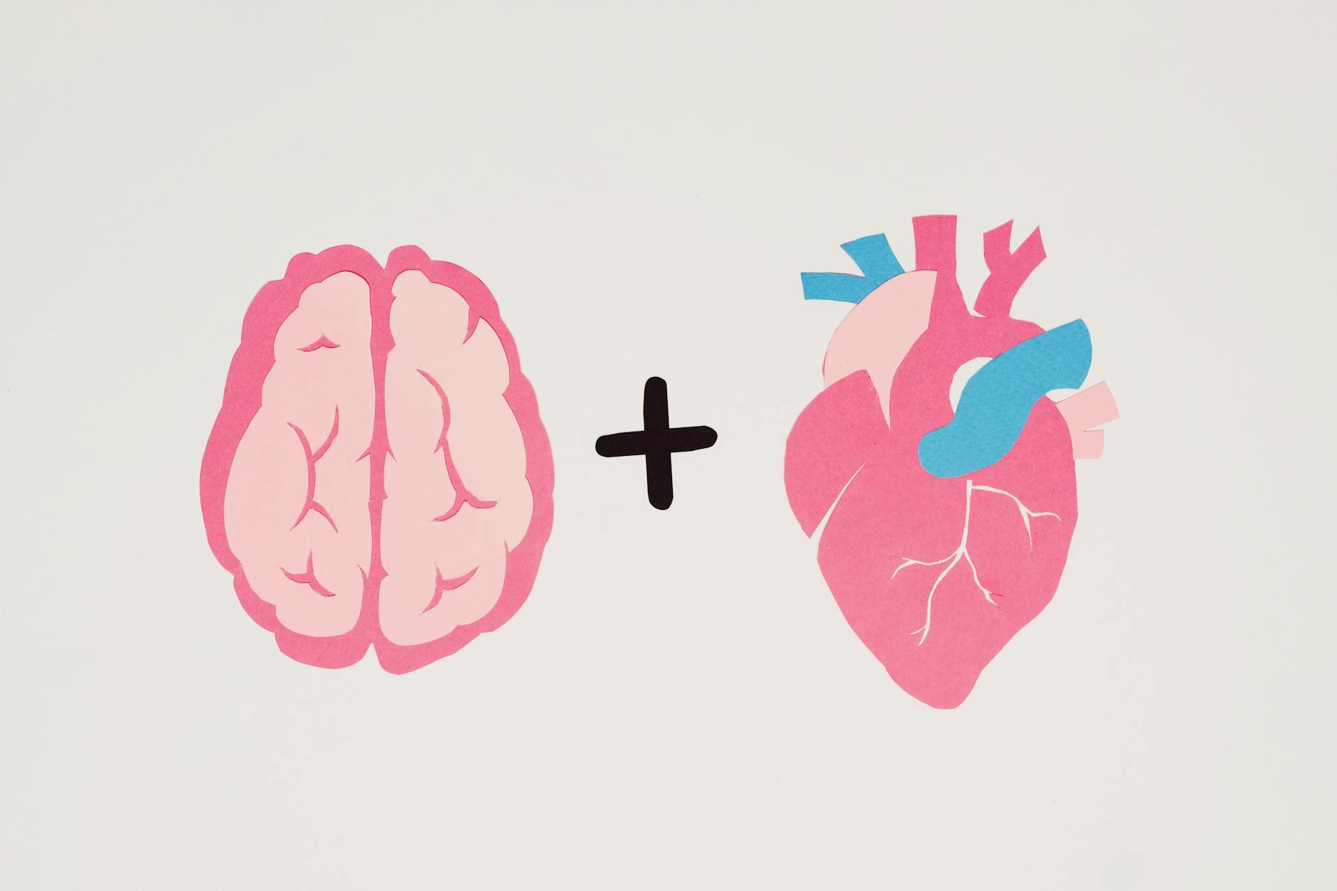 How Cardiovascular Adaptations Make Daily Tasks Feel Effortless