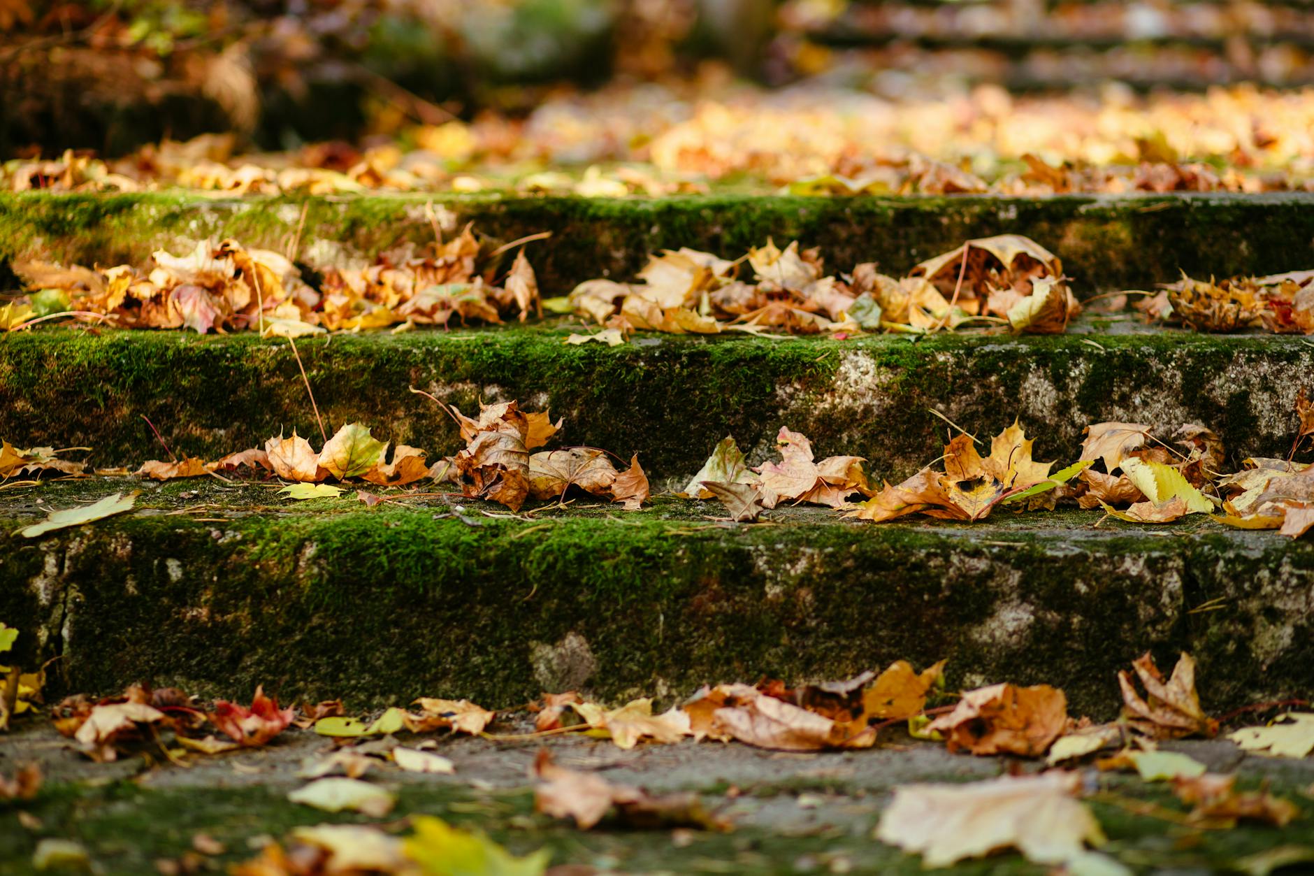 HOW MANY STEPS DO YOU REALLY NEED AFTER 60?