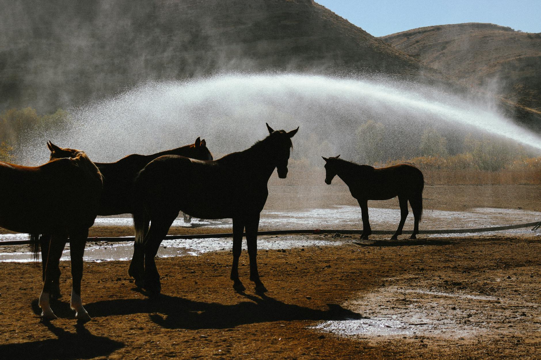 Hydration Strategy and Electrolyte Management