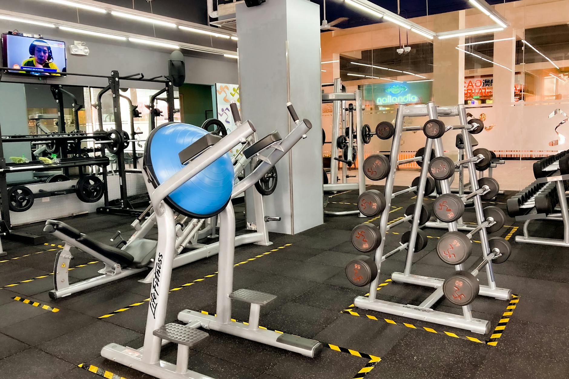 Joint Health, Injury Risk, and the Paradox of Exercise-Induced Stress