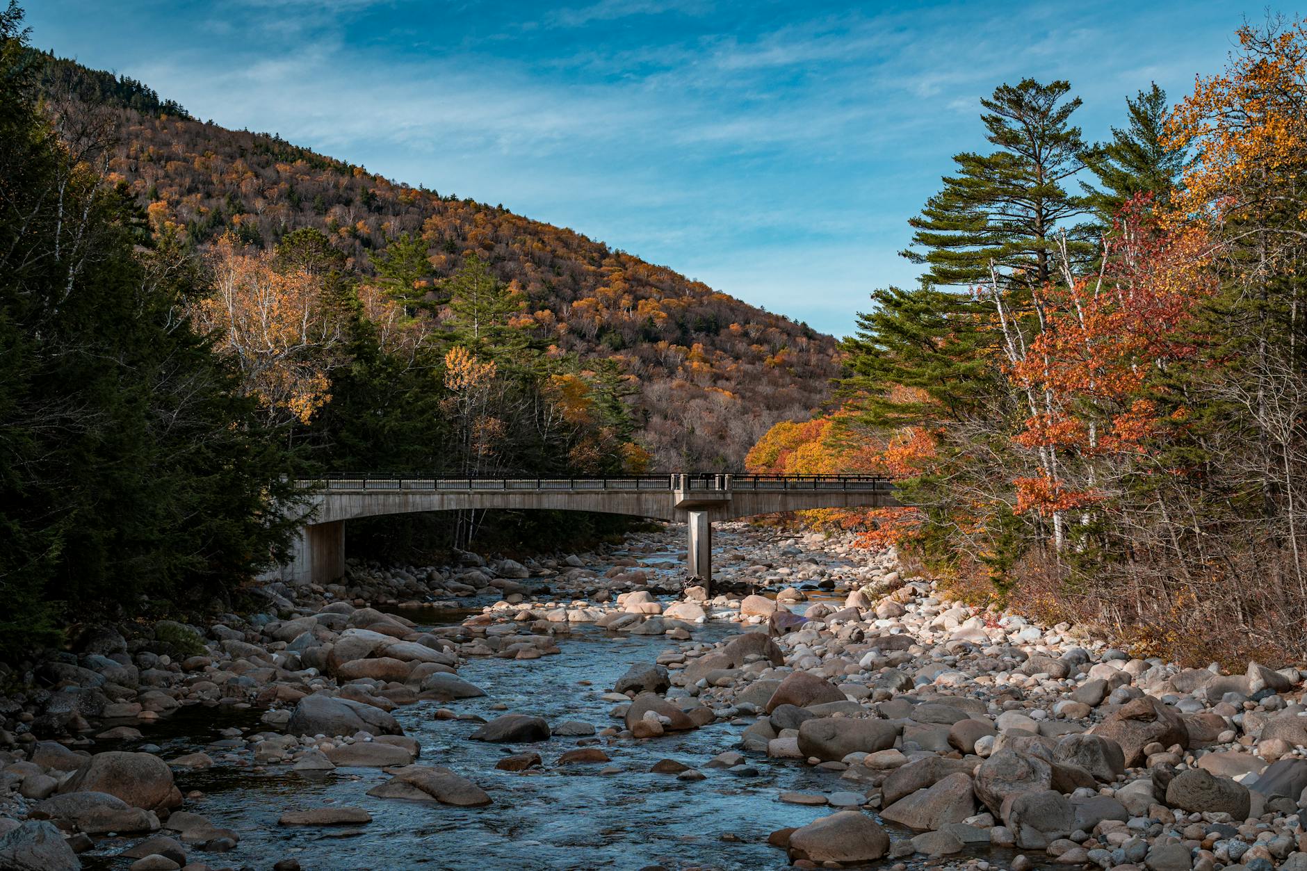 Tempo Runs as a Bridge Between Easy and Fast