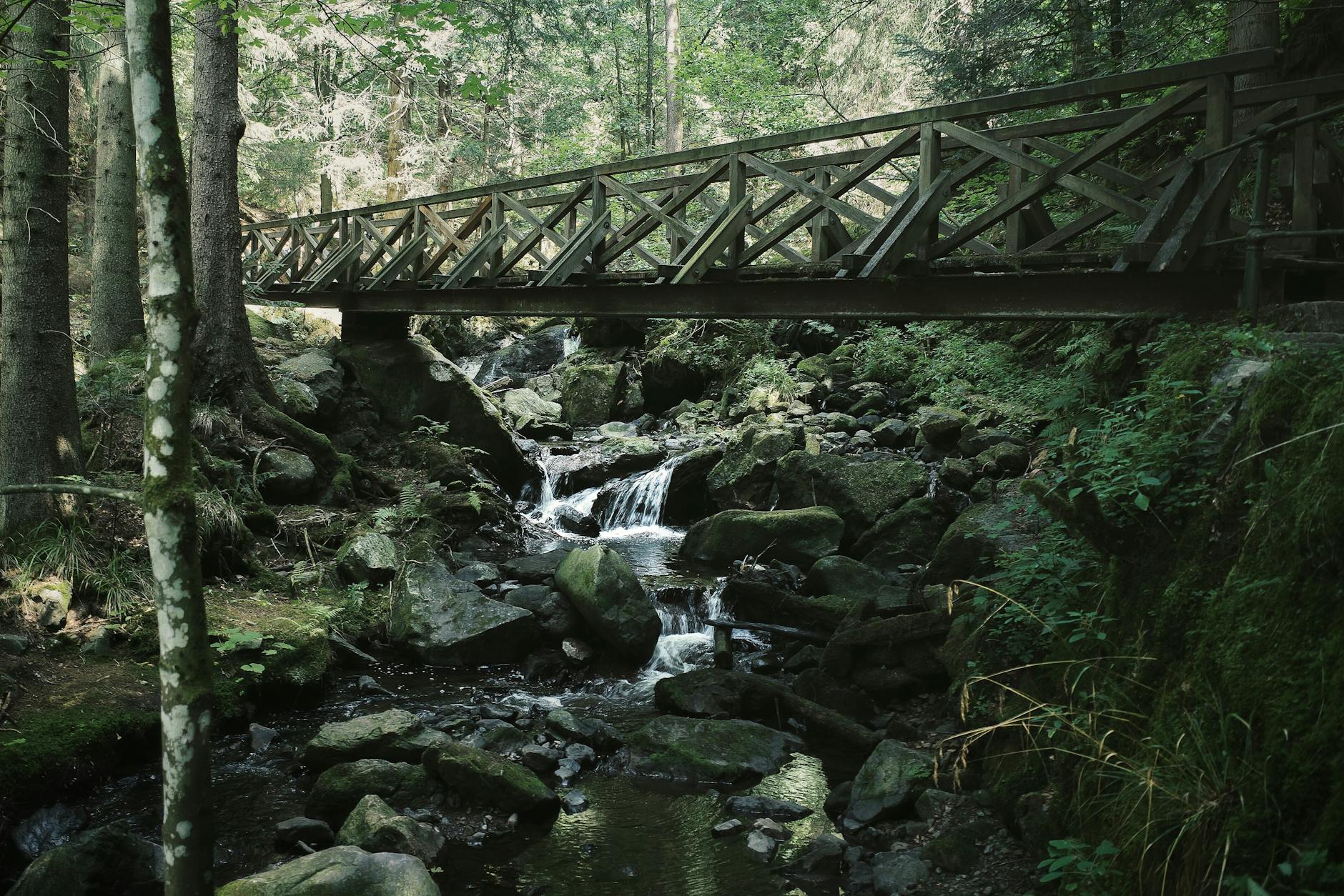 Tempo Runs as the Bridge Between Easy and Hard Effort
