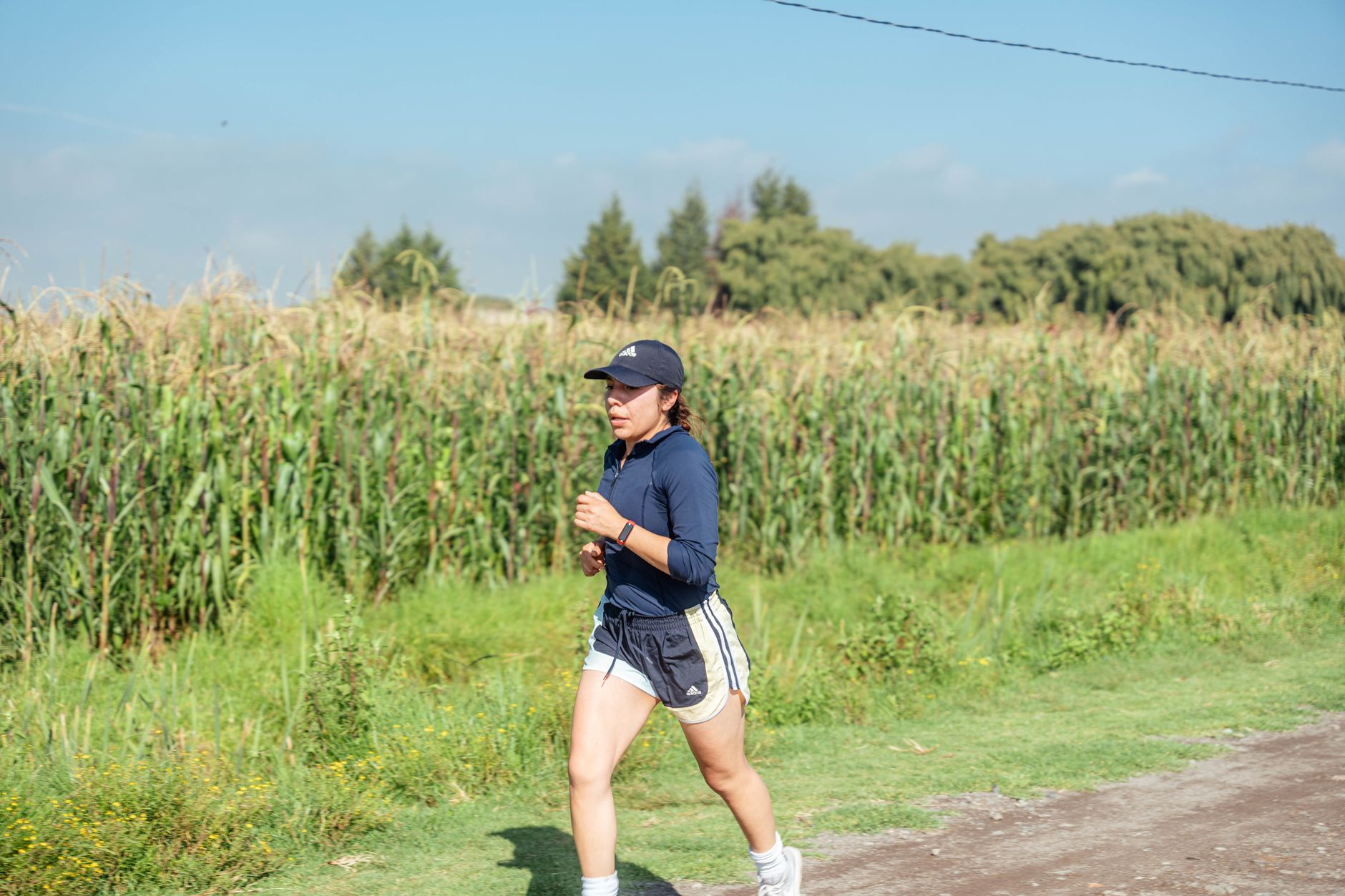 The Cascade of Summer Running Problems
