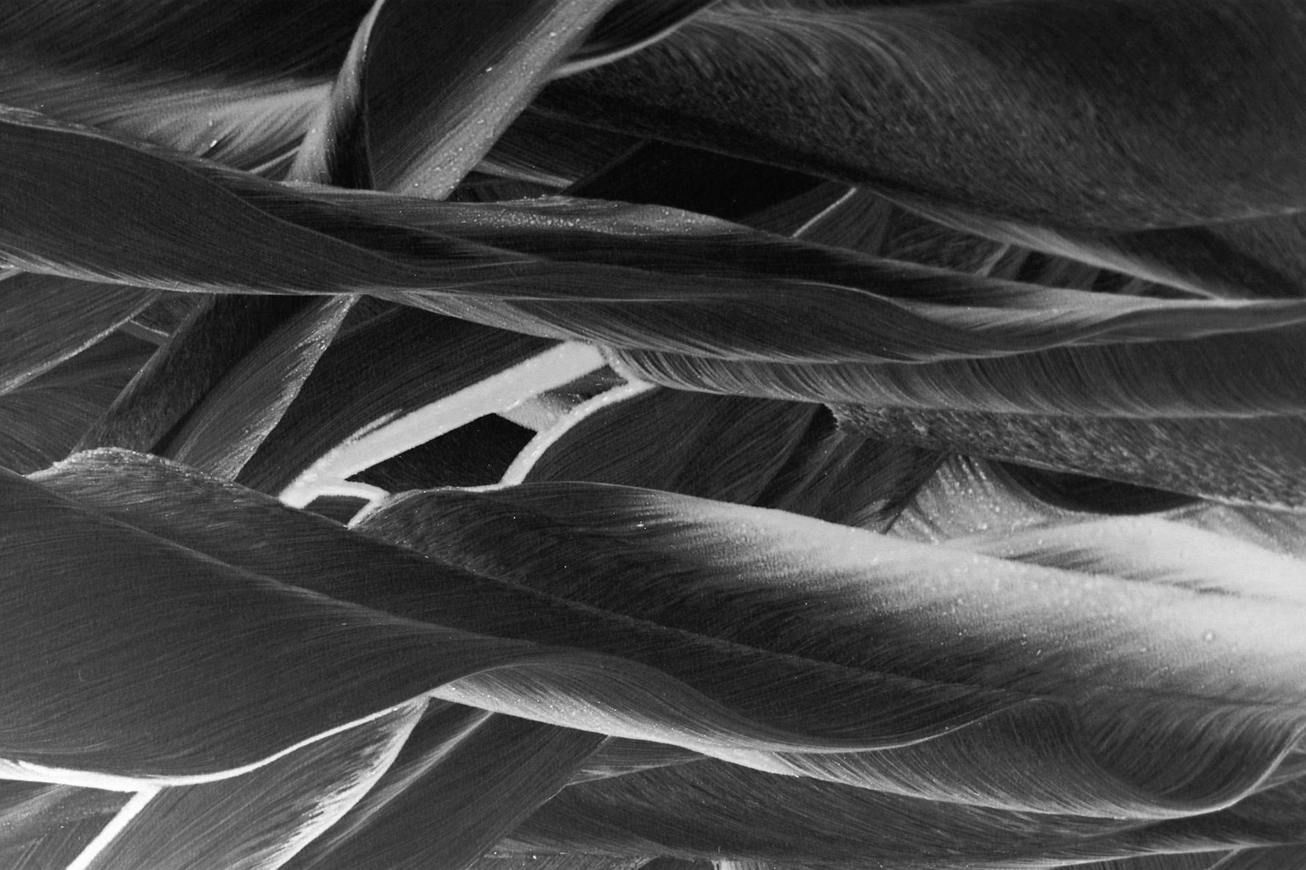 The Genetic Component of Muscle Fiber Type
