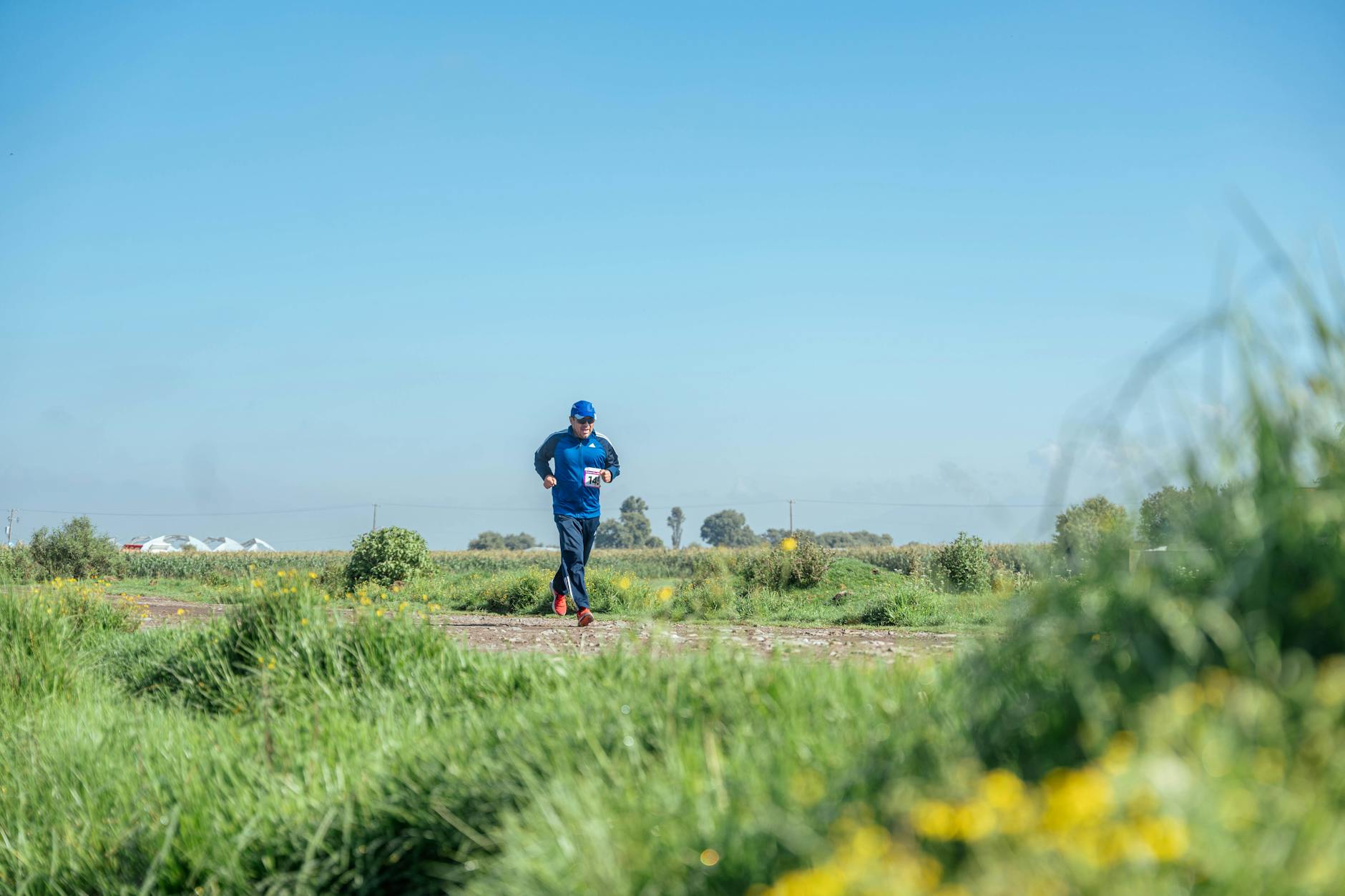 The Role of Running Gait and Form