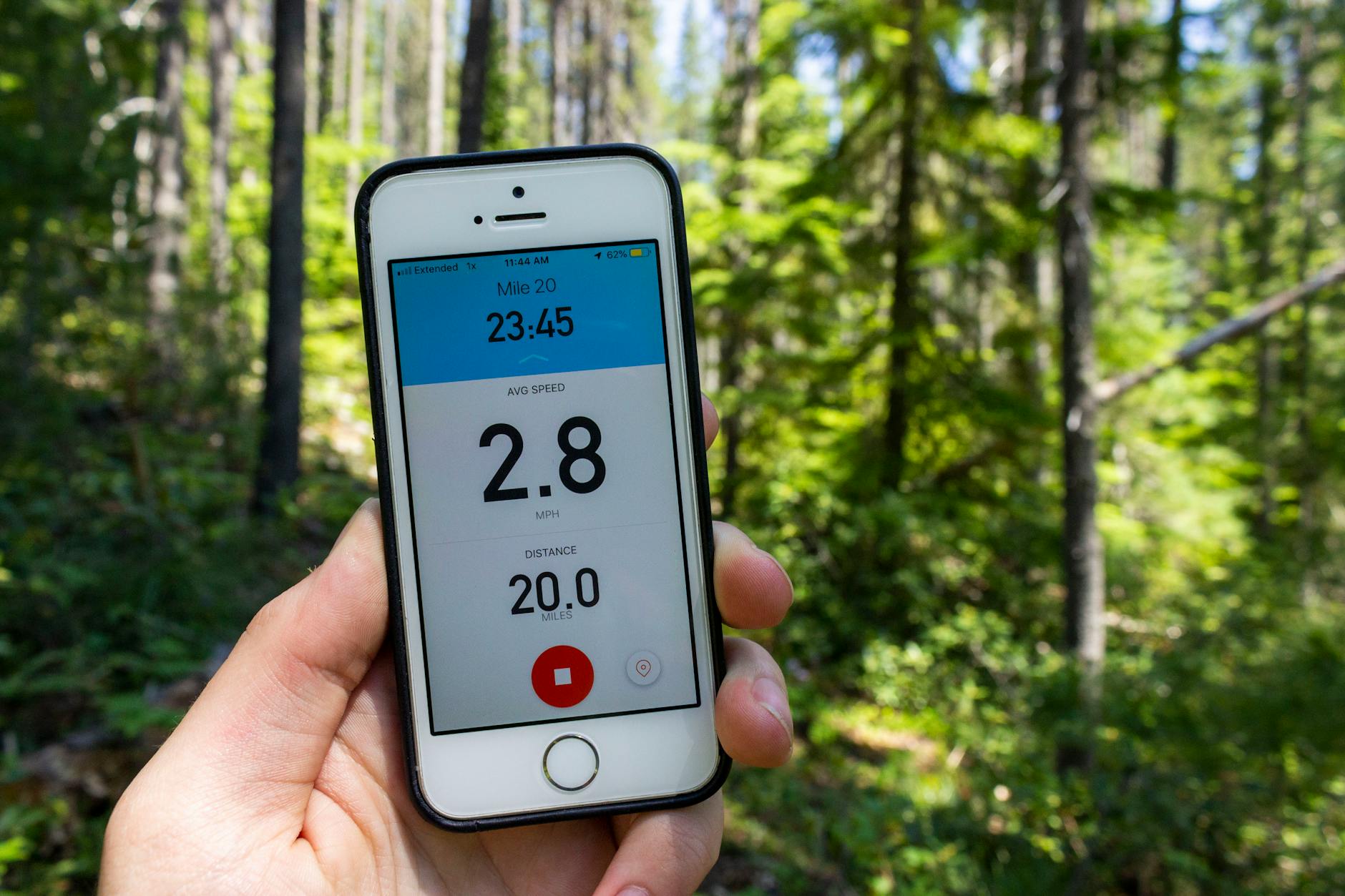 The Role of Training and Building to 5 Miles
