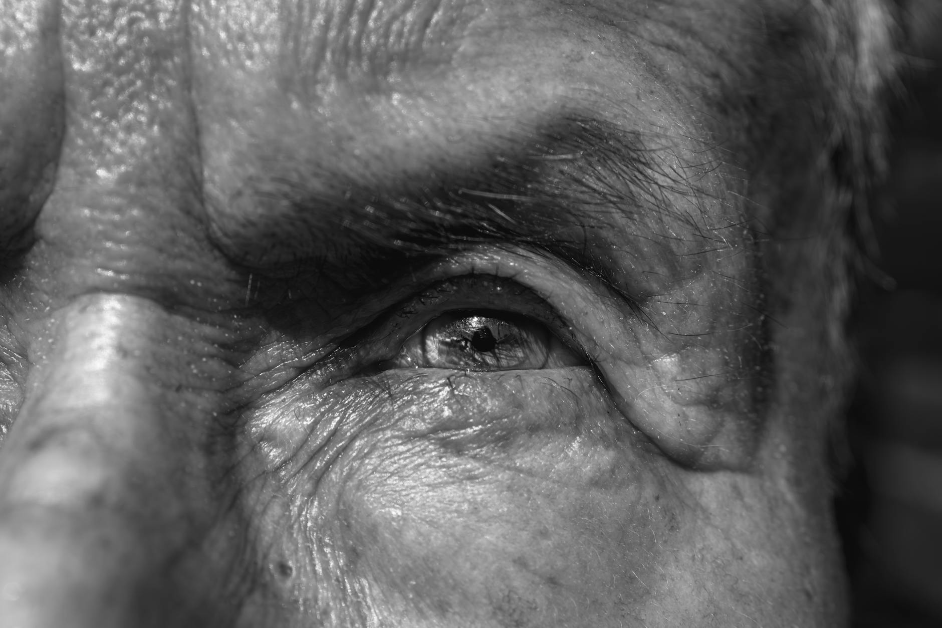 What Changes With Age (And What Doesn't)