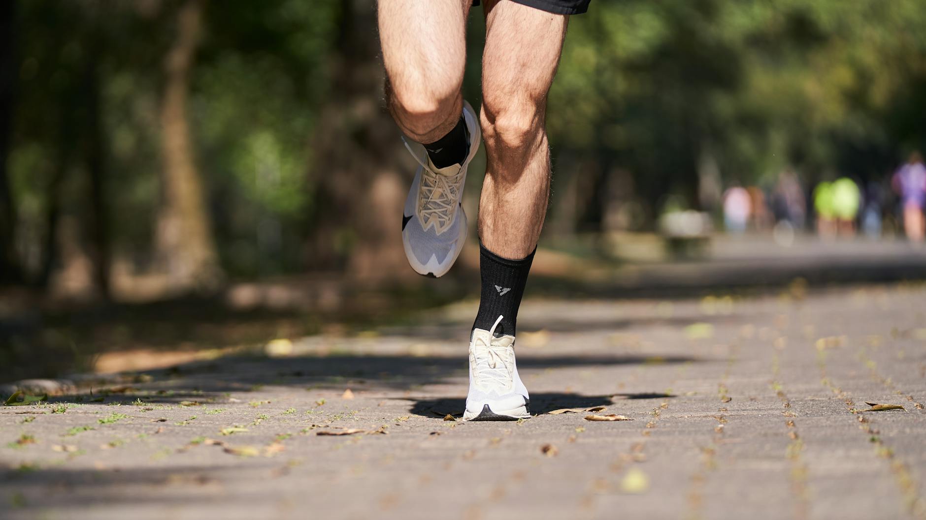 What Does Running Speed Actually Depend On?