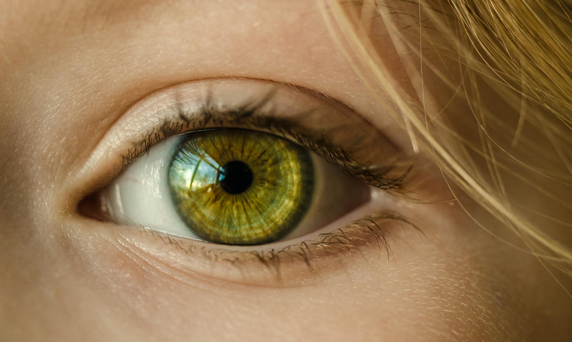 What Results Can You Realistically Expect in Six Weeks?