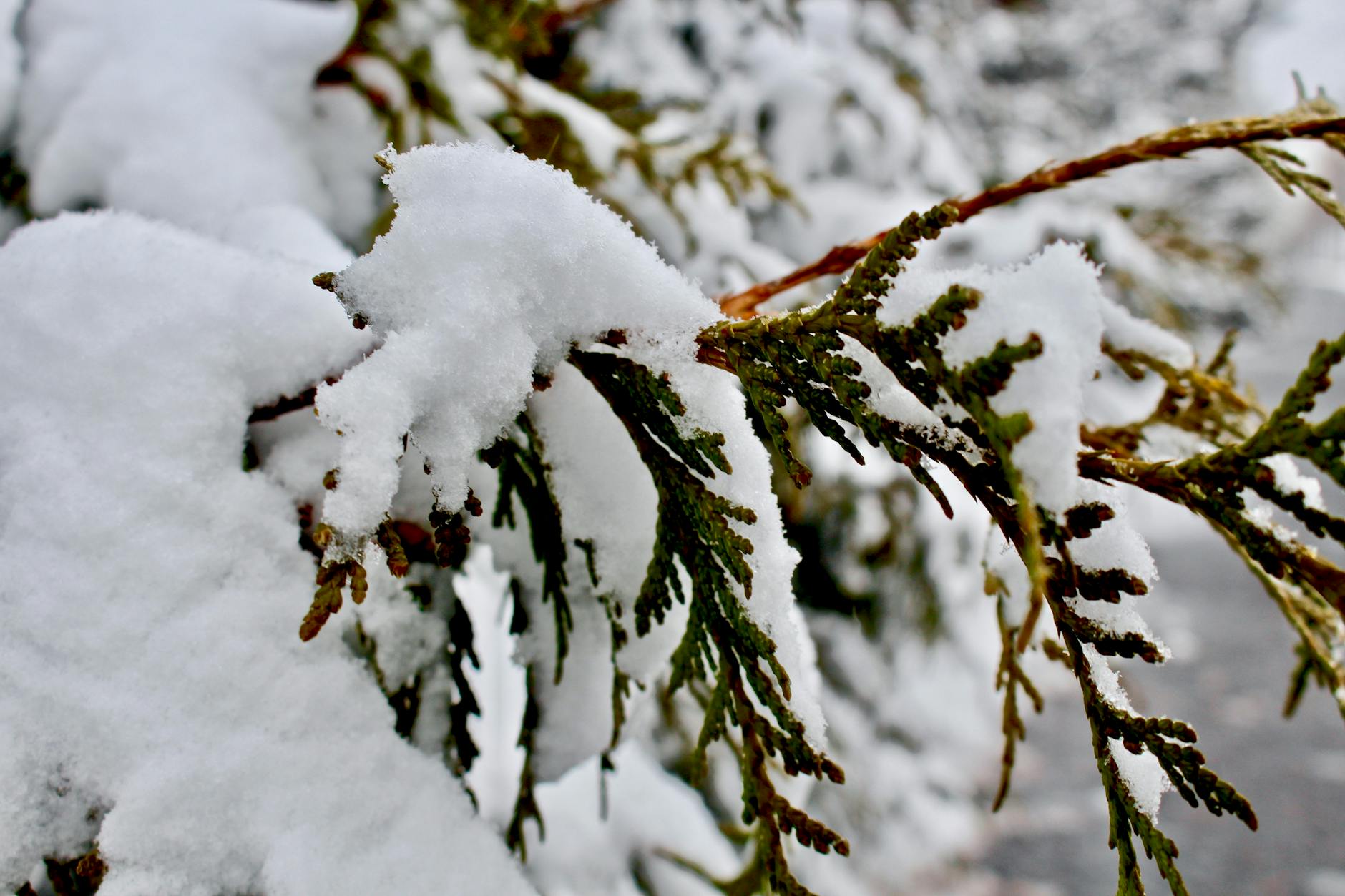 When Is It Too Cold to Run Outside?