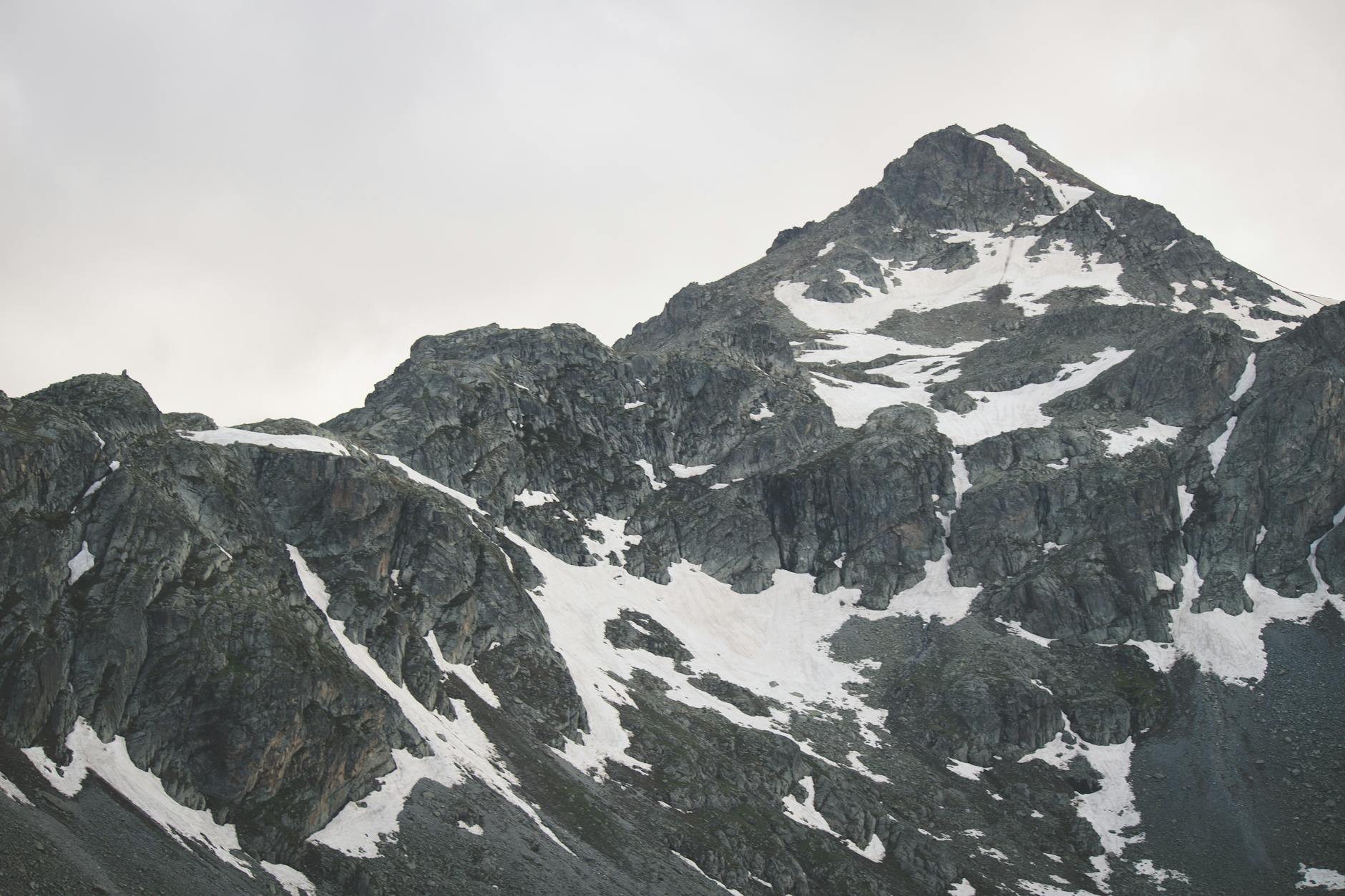 When Should You Run for Peak Performance?