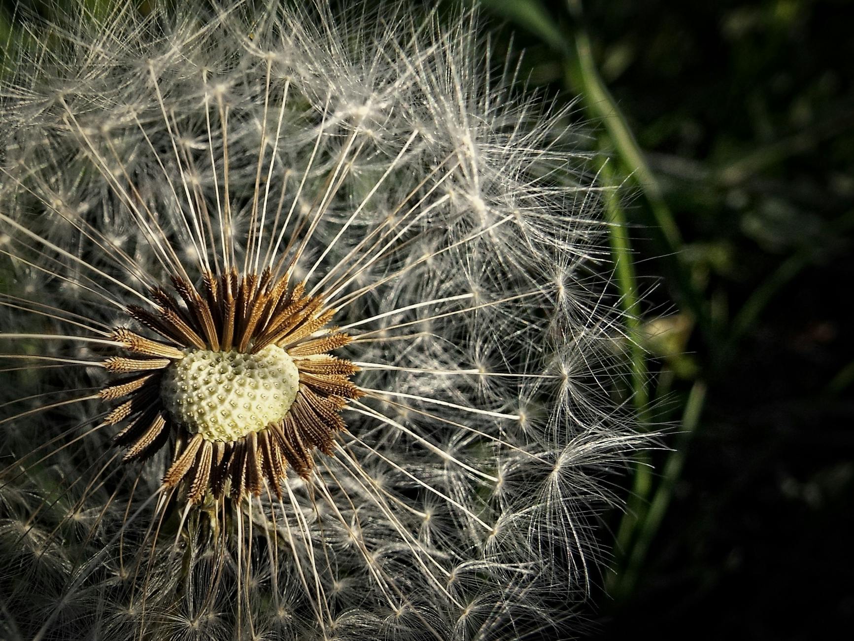 Why Allergies Create a Bigger Performance Barrier Than Running Form Issues