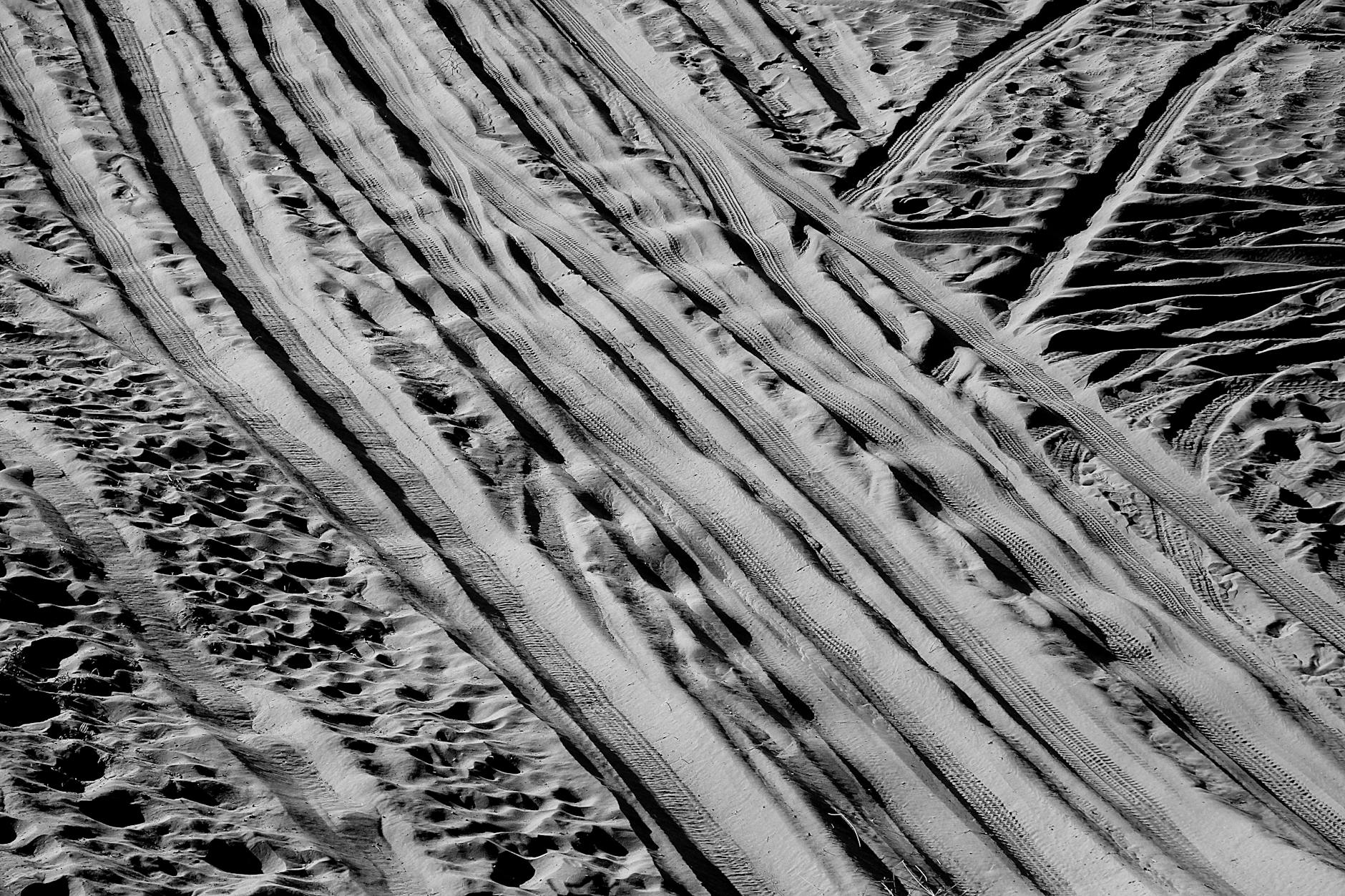 Why Injury Patterns Differ Between Trail and Road Running