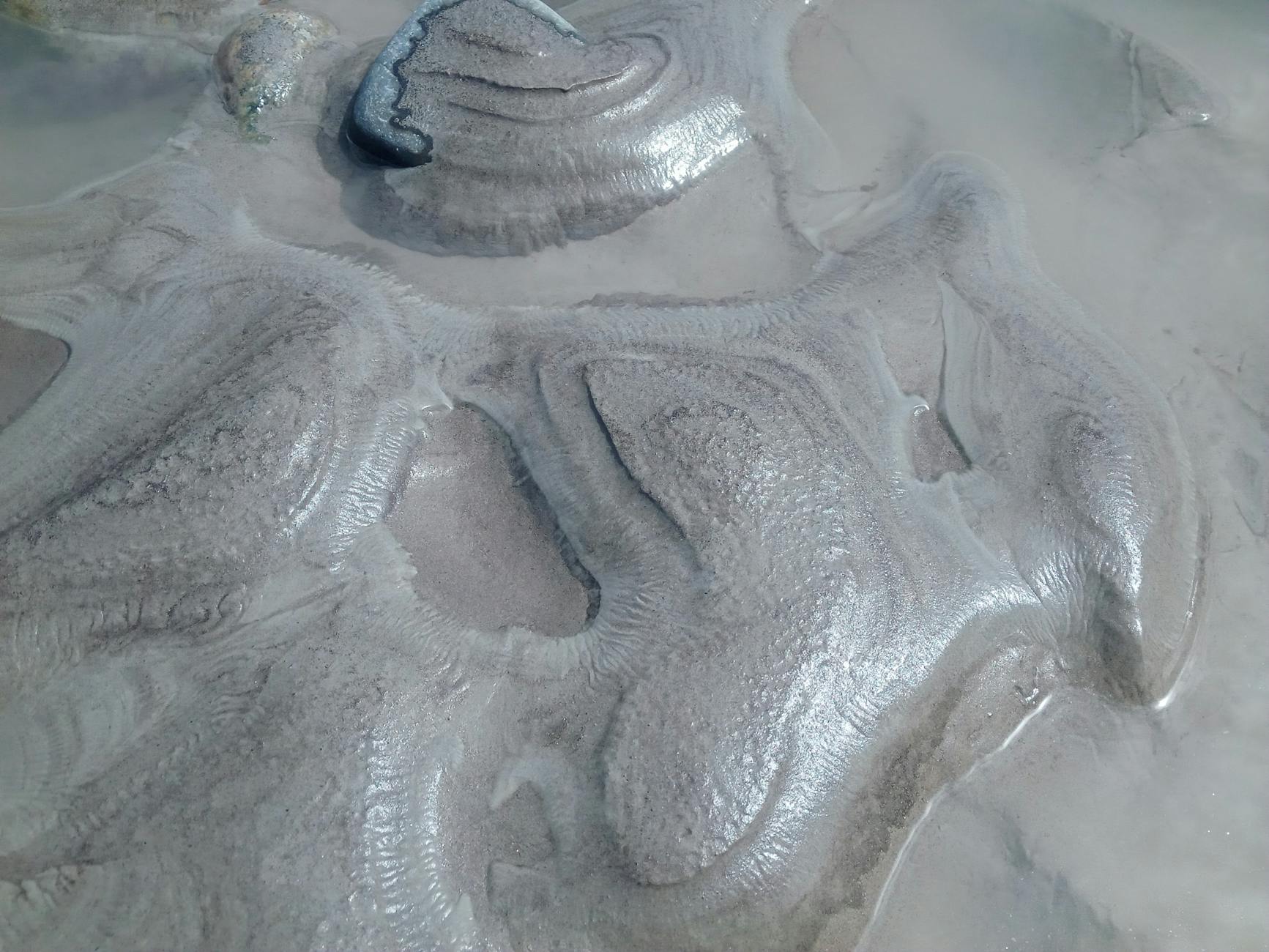 Why The Grey Zone Produces Minimal Adaptations