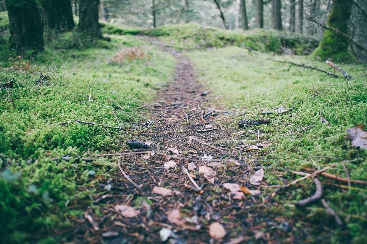 Finding and Maintaining Your Target Intensity