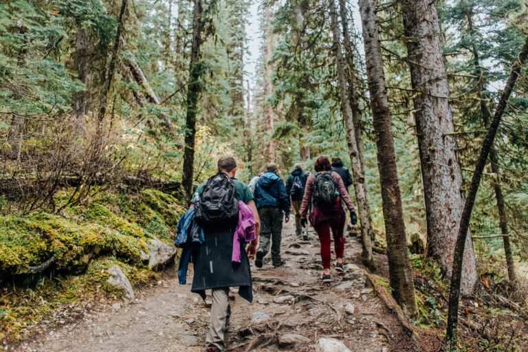 Hiking and Walking: The Moderate Foundation of My Week - Featured image