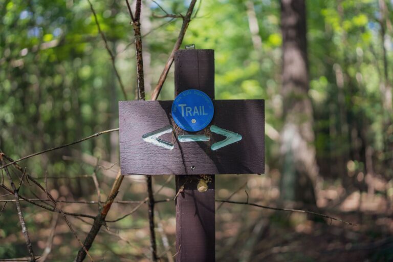 How a Trail Hike Reset My Heart Rate Math - Featured image