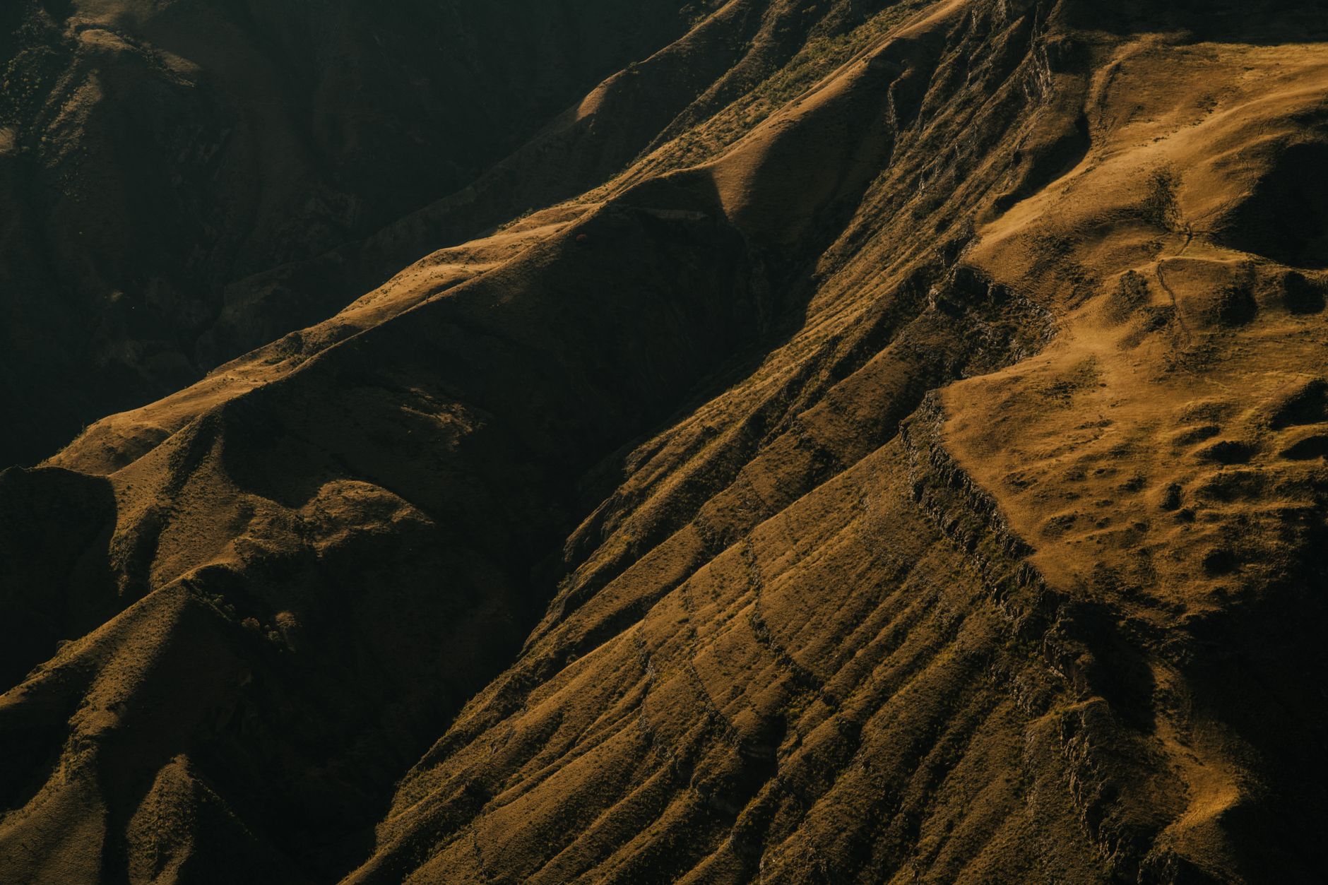 How Does Elevation Change Trigger Your Heart's Vigorous Response?