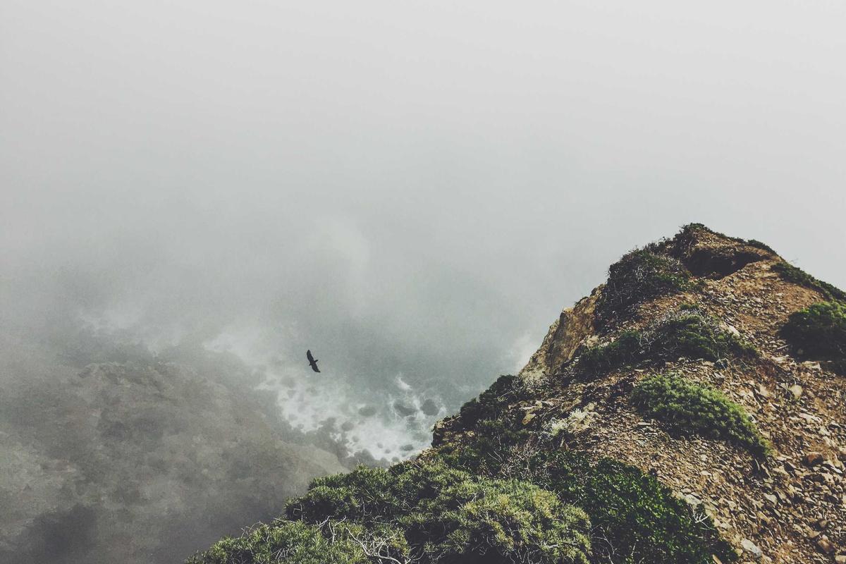 HOW RUNNING BUILDS SUSTAINABLE BEHAVIOR CHANGE