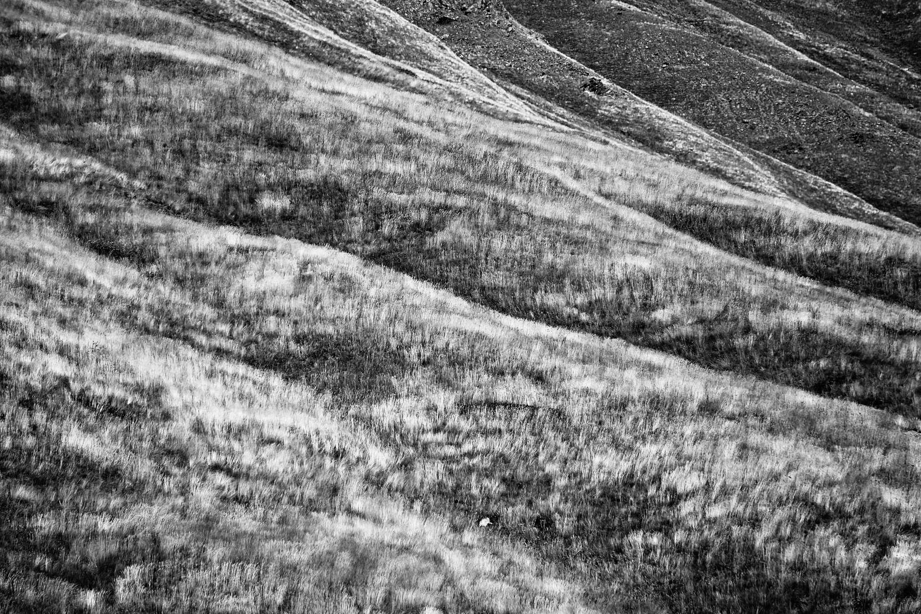 How Slope Directly Overrides Speed in Determining Heart Rate Response