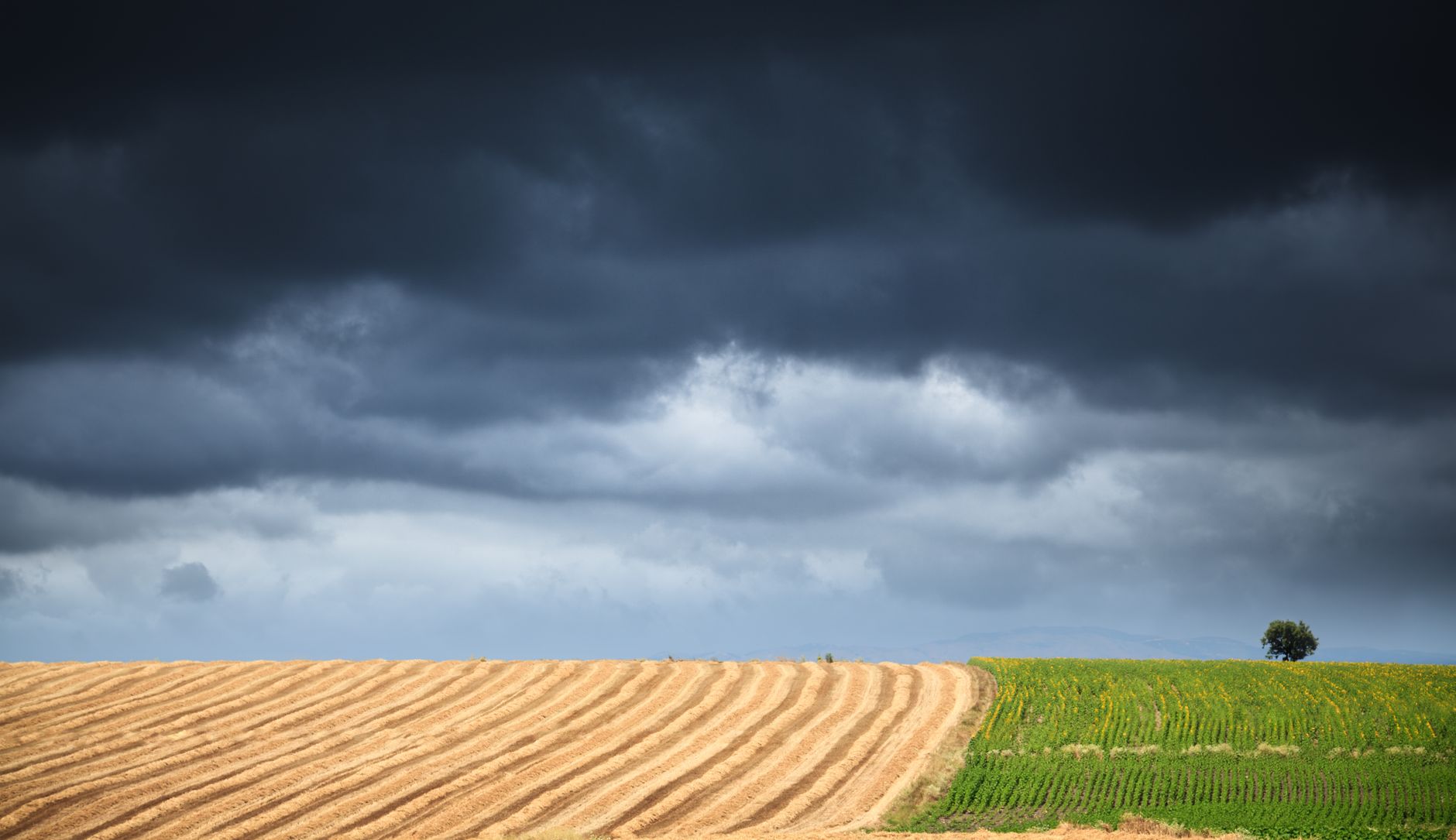 Hydration Strategy for Different Weather and Intensity