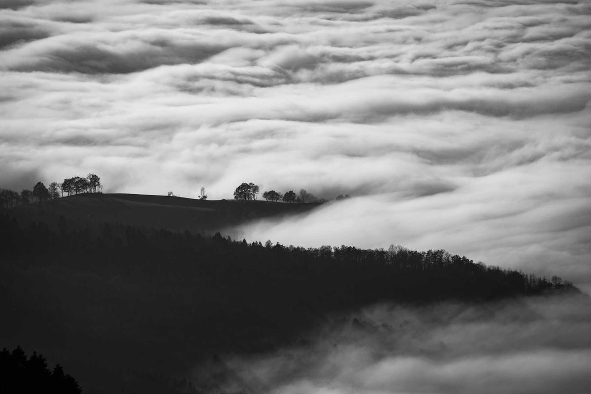 Mental Fatigue and the Attention-Switching Trap