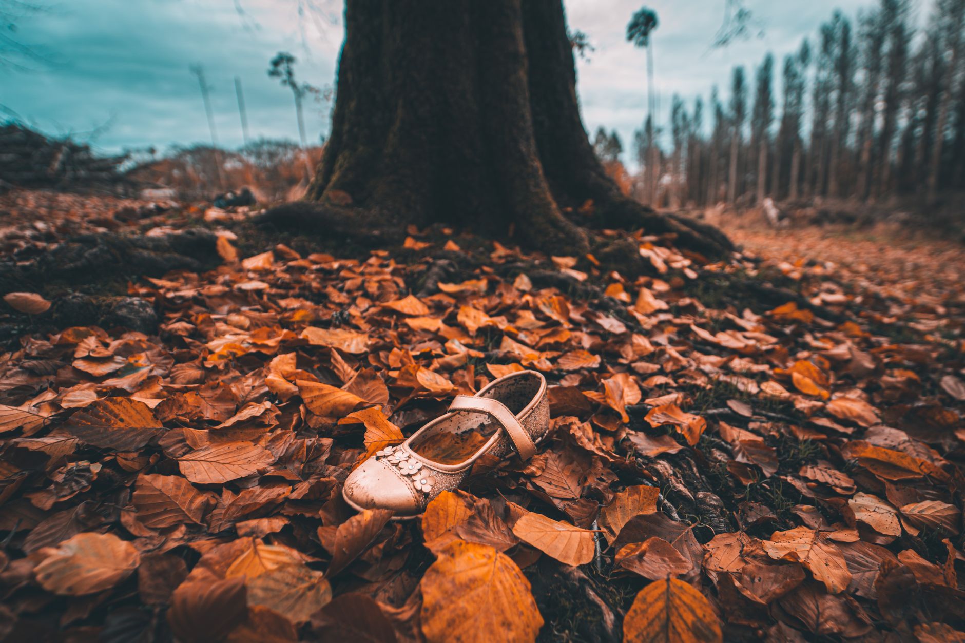 Real-World Examples of Shoe Failure and Success in Ultramarathons
