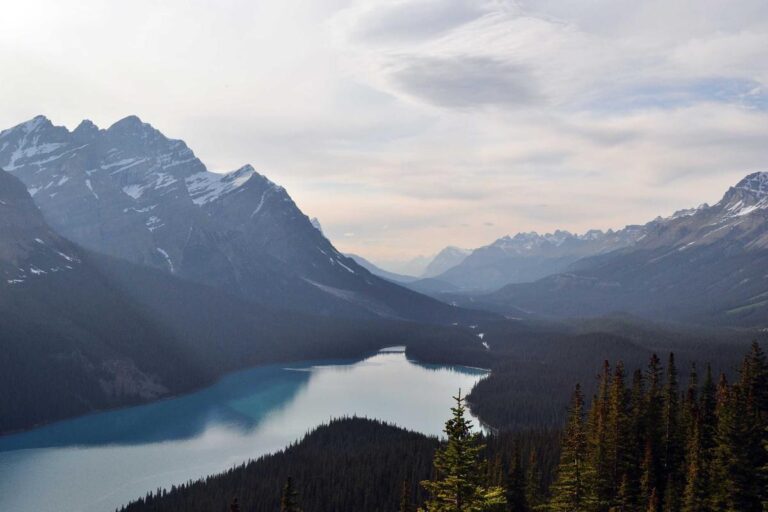 Running to Lose Weight: Why Your First Month Feels Pointless - Featured image