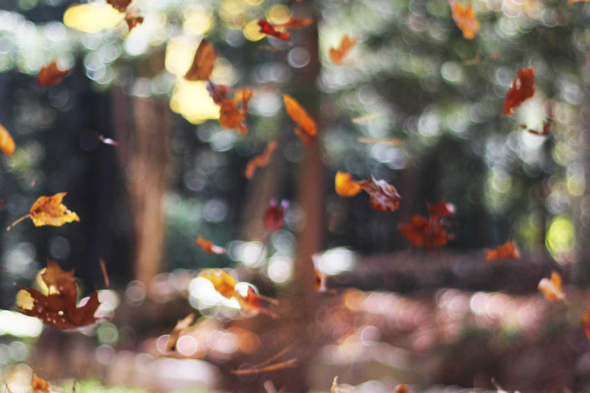 The Breathability Problem and Moisture Management