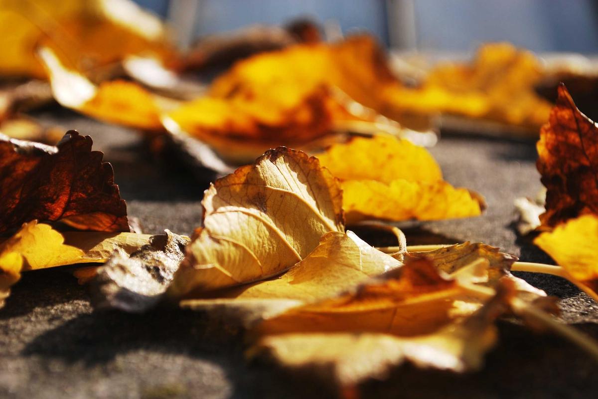The Sustainability Problem Most Runners Face