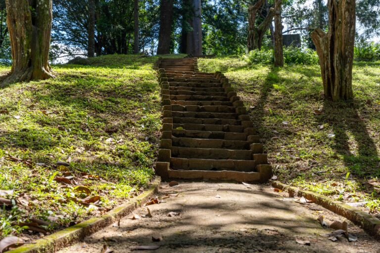 Walking Uphill: The Easiest Way to Earn Intensity Minutes Walking - Featured image