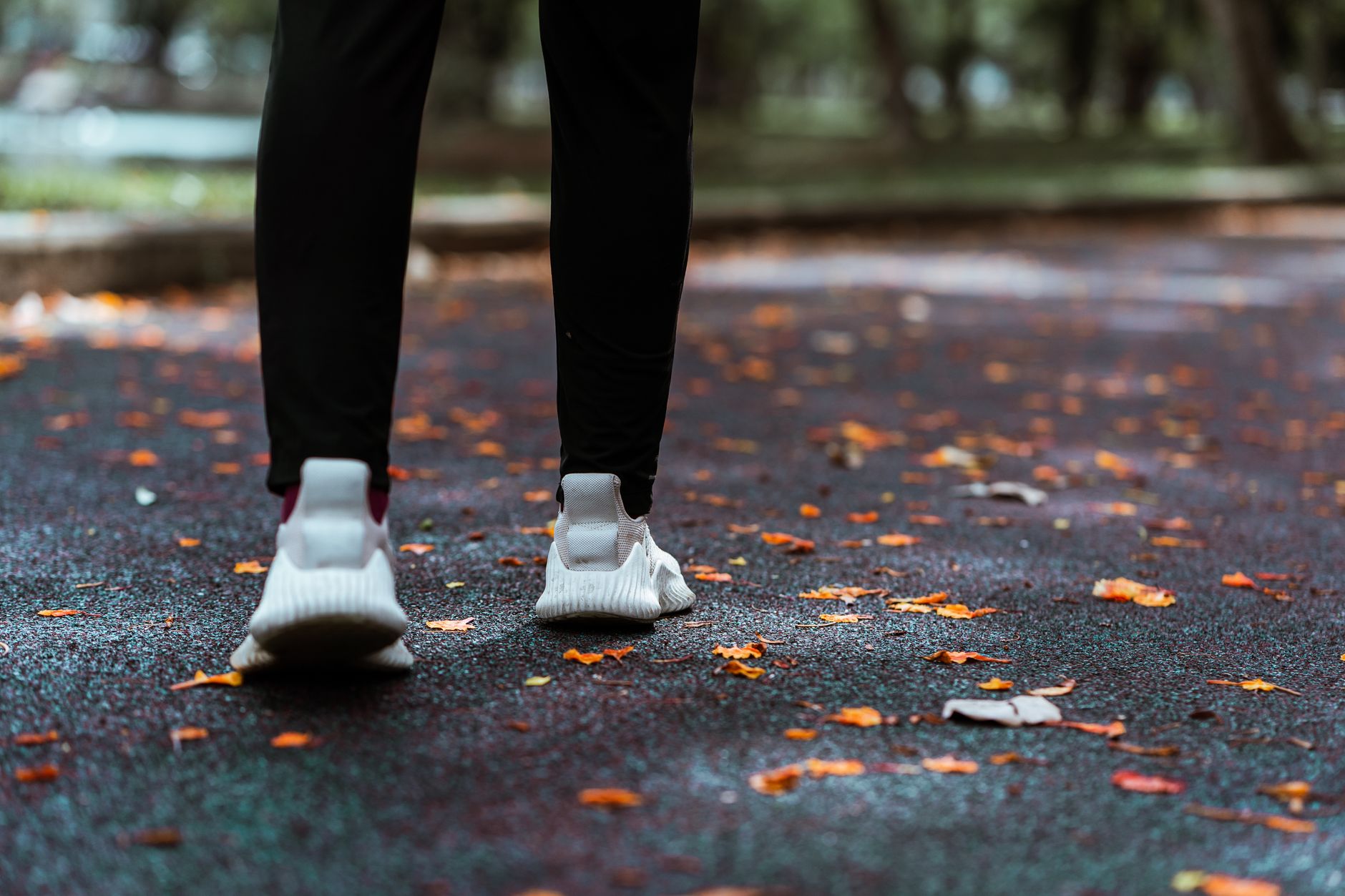 What Dog Walking Actually Does Well for Your Health