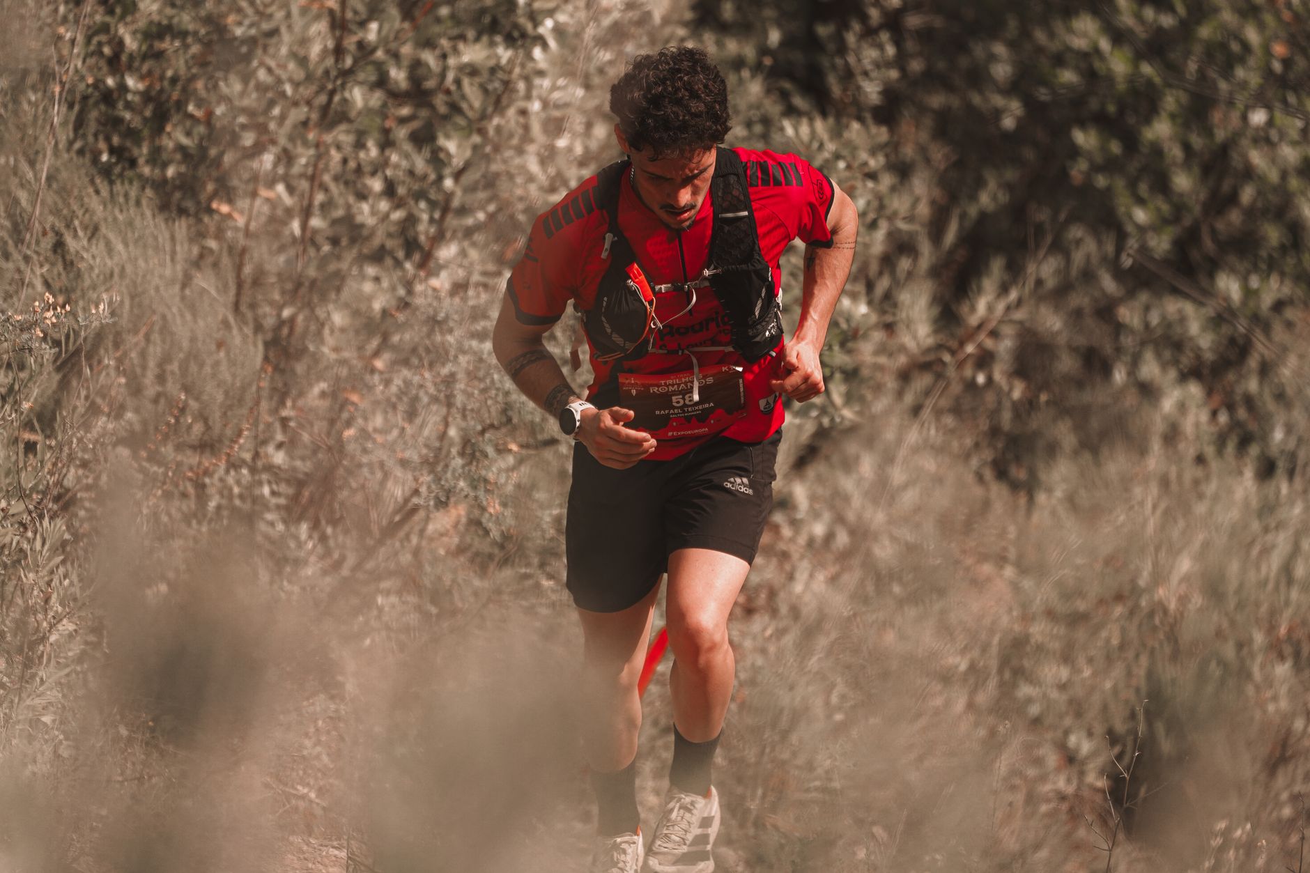 What Makes an Ultramarathon Shoe Structurally Different From Standard Running Shoes?