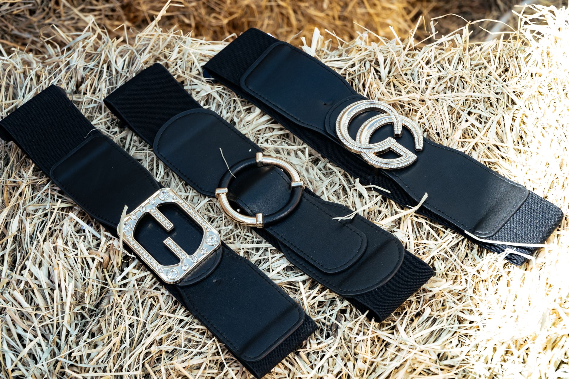 What Types of Belts and Carriers Are Available for Water and Gels?