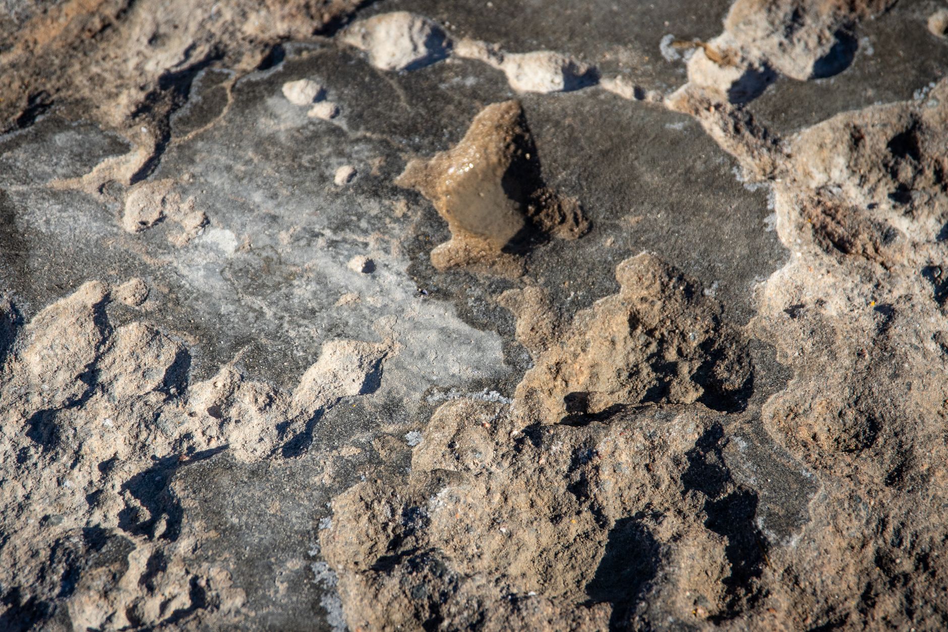 Why Does Flat Terrain Fail to Challenge Your Cardiovascular System?