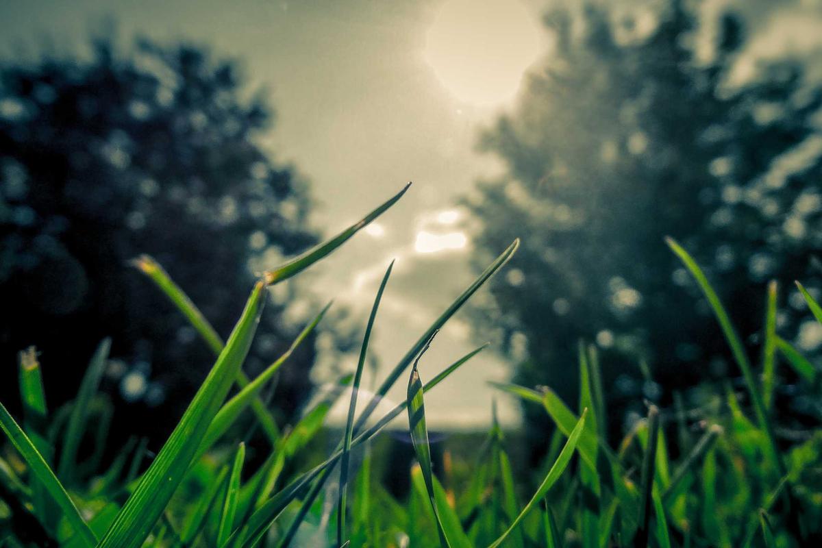 Why Recovery Matters More as You Age