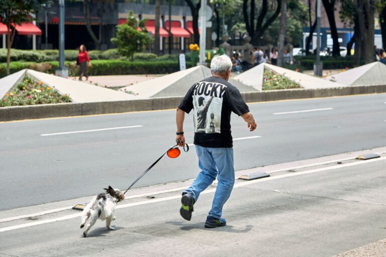 Best Walking Pace for Moderate Intensity - Featured image