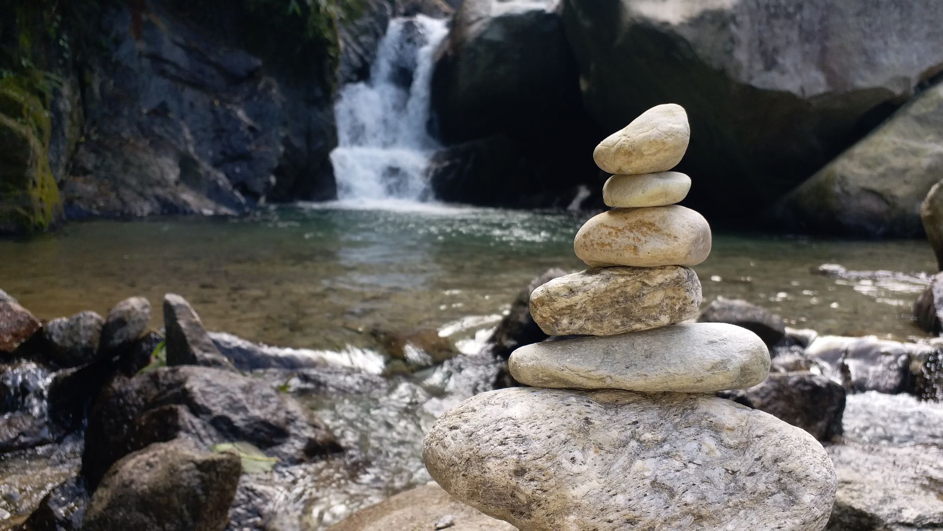 Bone Density, Balance, and Falls Prevention