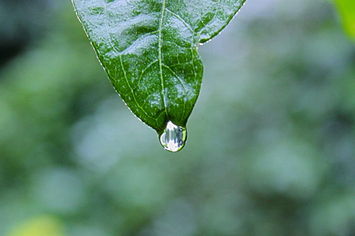 Common Mistakes and Overuse Prevention